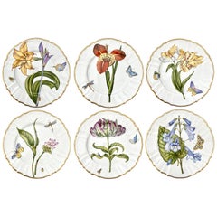 Set of 6 Anna Weatherley Hand Painted Porcelain Dinner Plates