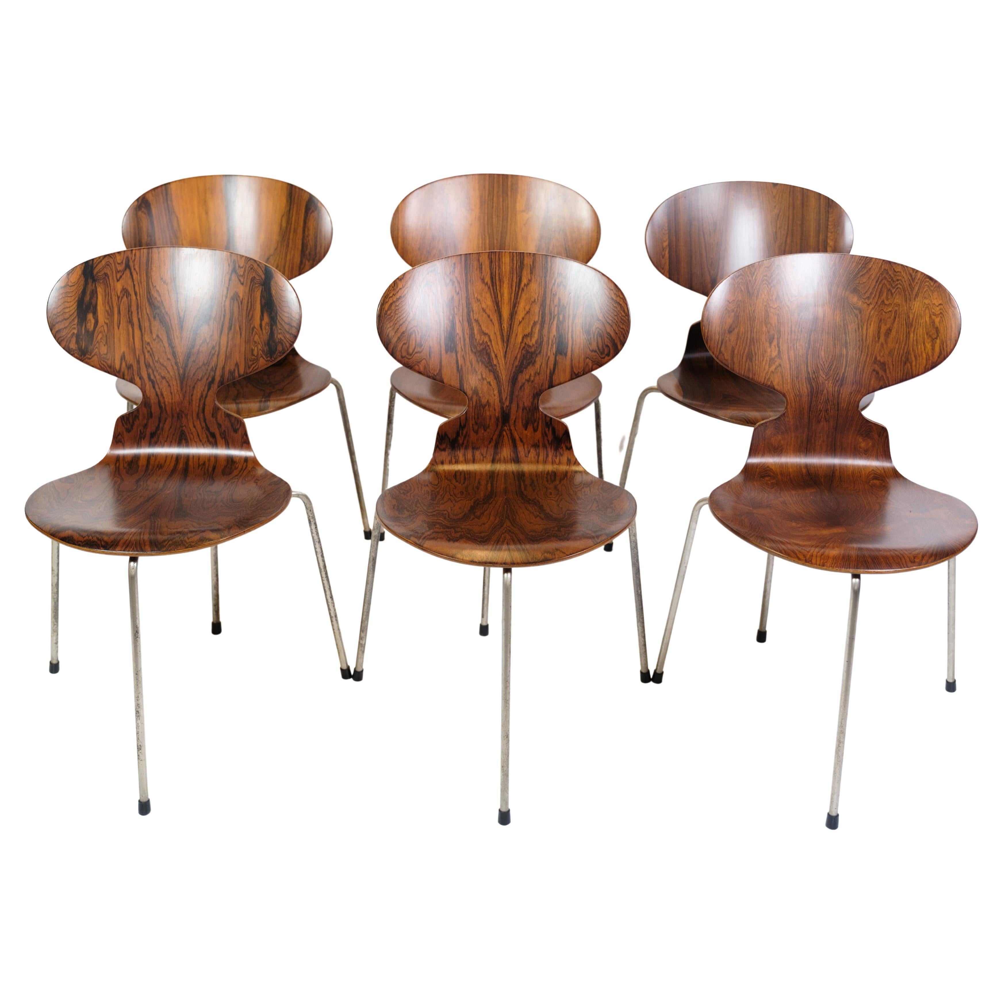 Set di 6 sedie Ant Model 3101 in palissandro di Arne Jacobsen in vendita