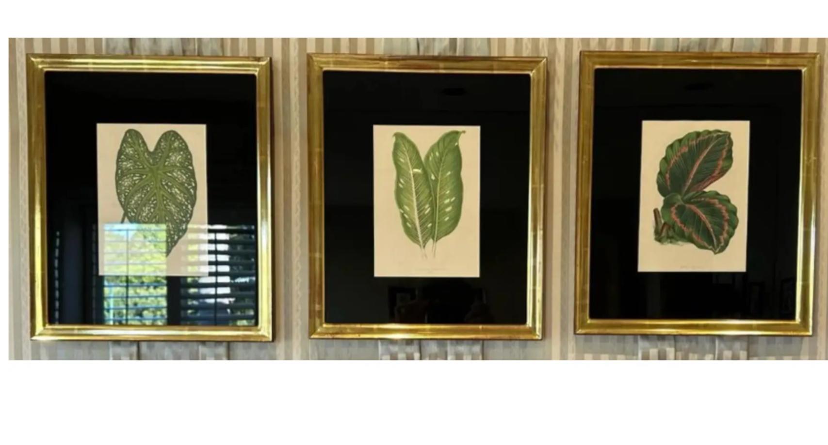 Set of 6 Antique Botanical Prints in Jerry Solomon Giltwood Frames In Good Condition In LOS ANGELES, CA