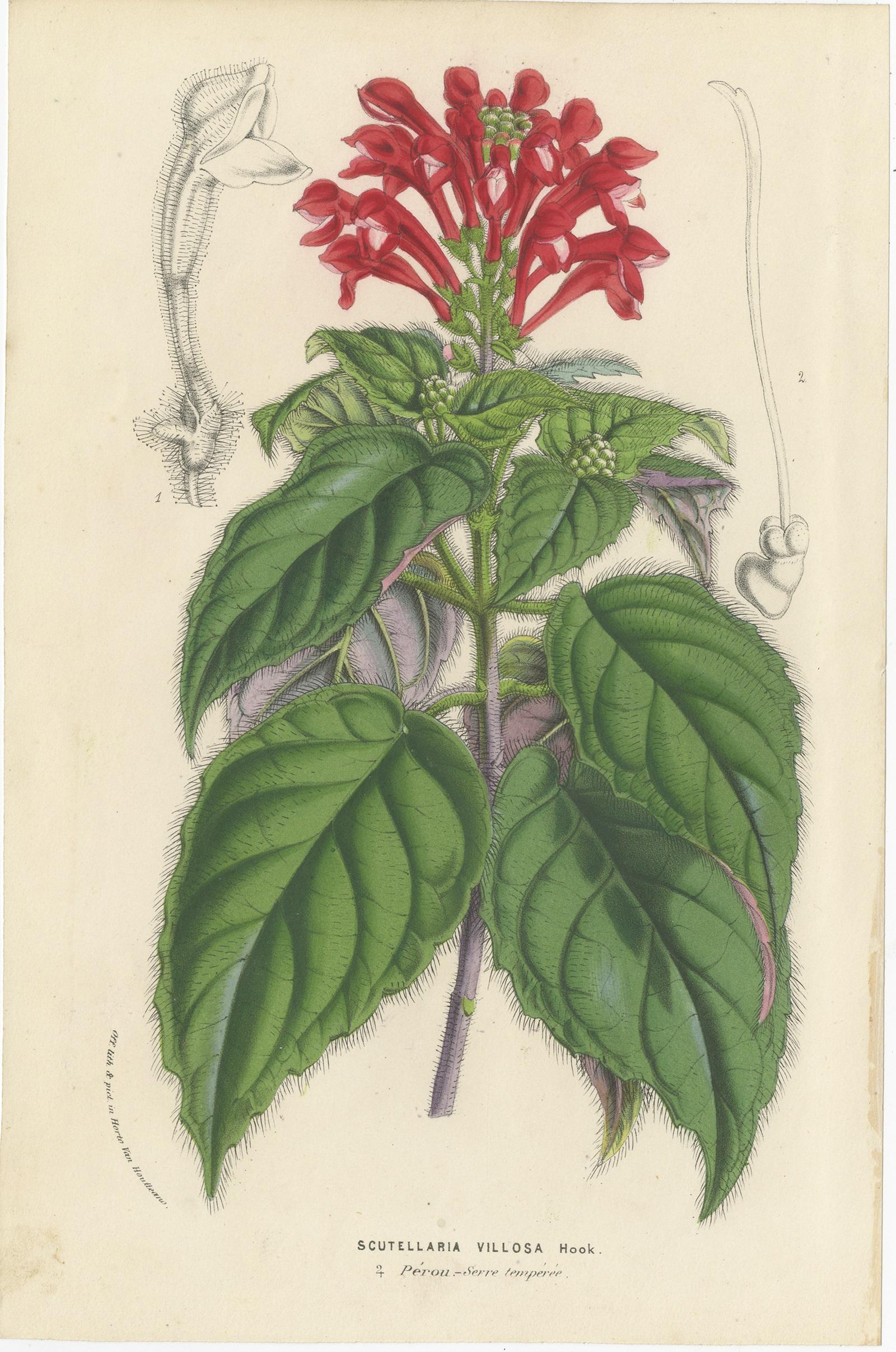 sage circa for sale