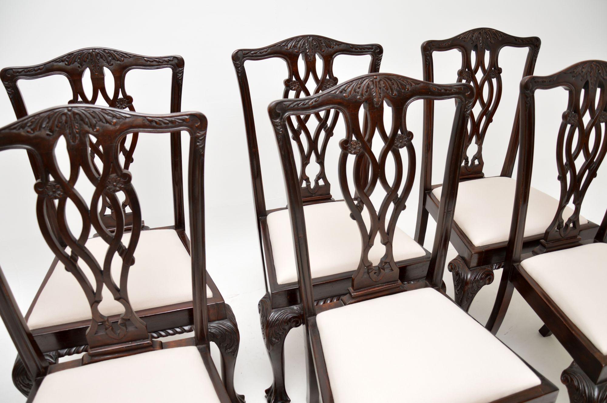 Ein ausgezeichneter Satz antiker Esszimmerstühle im klassischen Chippendale-Stil. Sie wurden in England hergestellt und stammen etwa aus der Zeit von 1890 bis 1910.

Die Qualität ist hervorragend, sie sind sehr robust und gut verarbeitet. Die