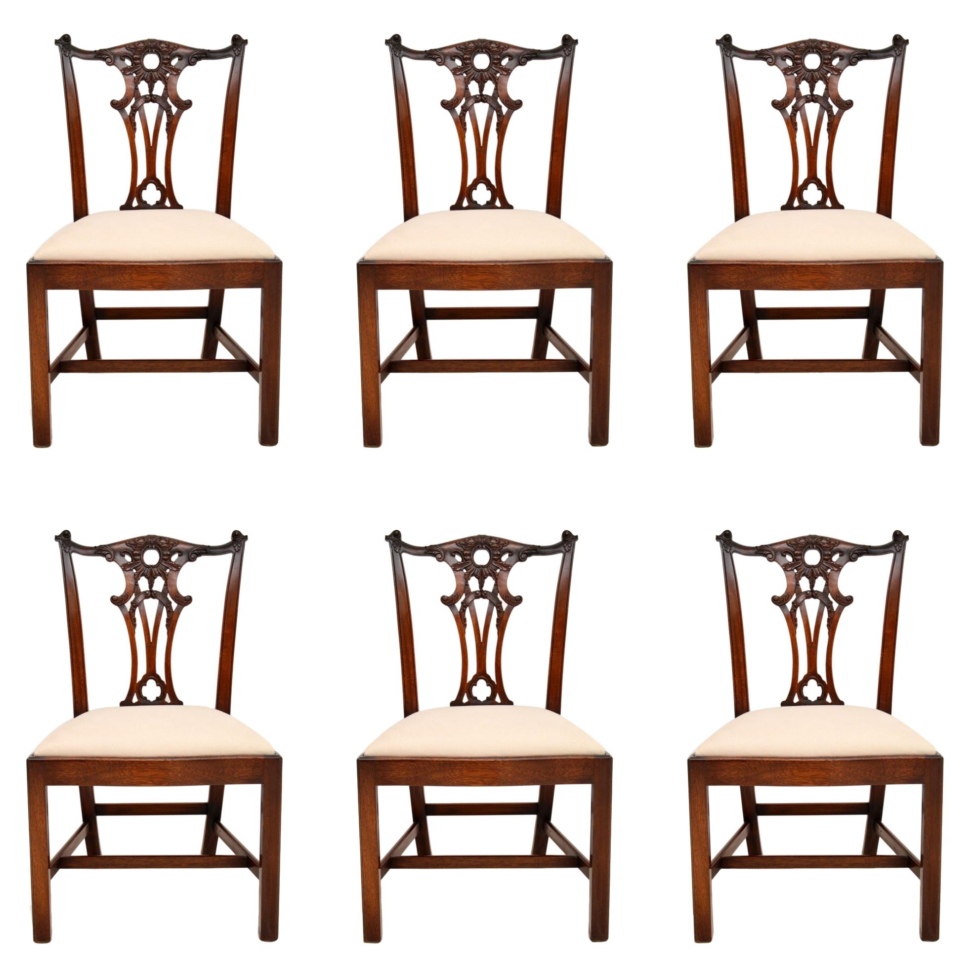 Set of 6 Antique Chippendale Style Mahogany Dining Chairs at 1stDibs