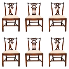 Set of 6 Antique Chippendale Style Mahogany Dining Chairs