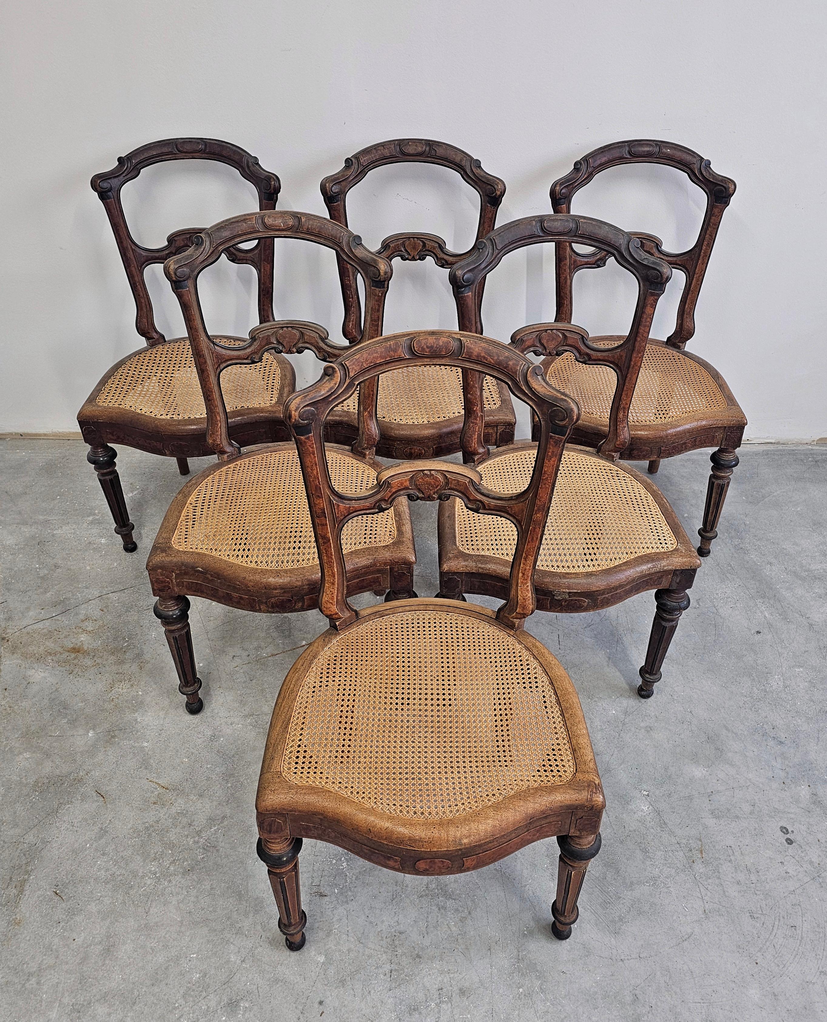 Français Ensemble de 6 chaises de salle à manger anciennes avec sièges en cannage, noyer massif France Mid 19th C. en vente