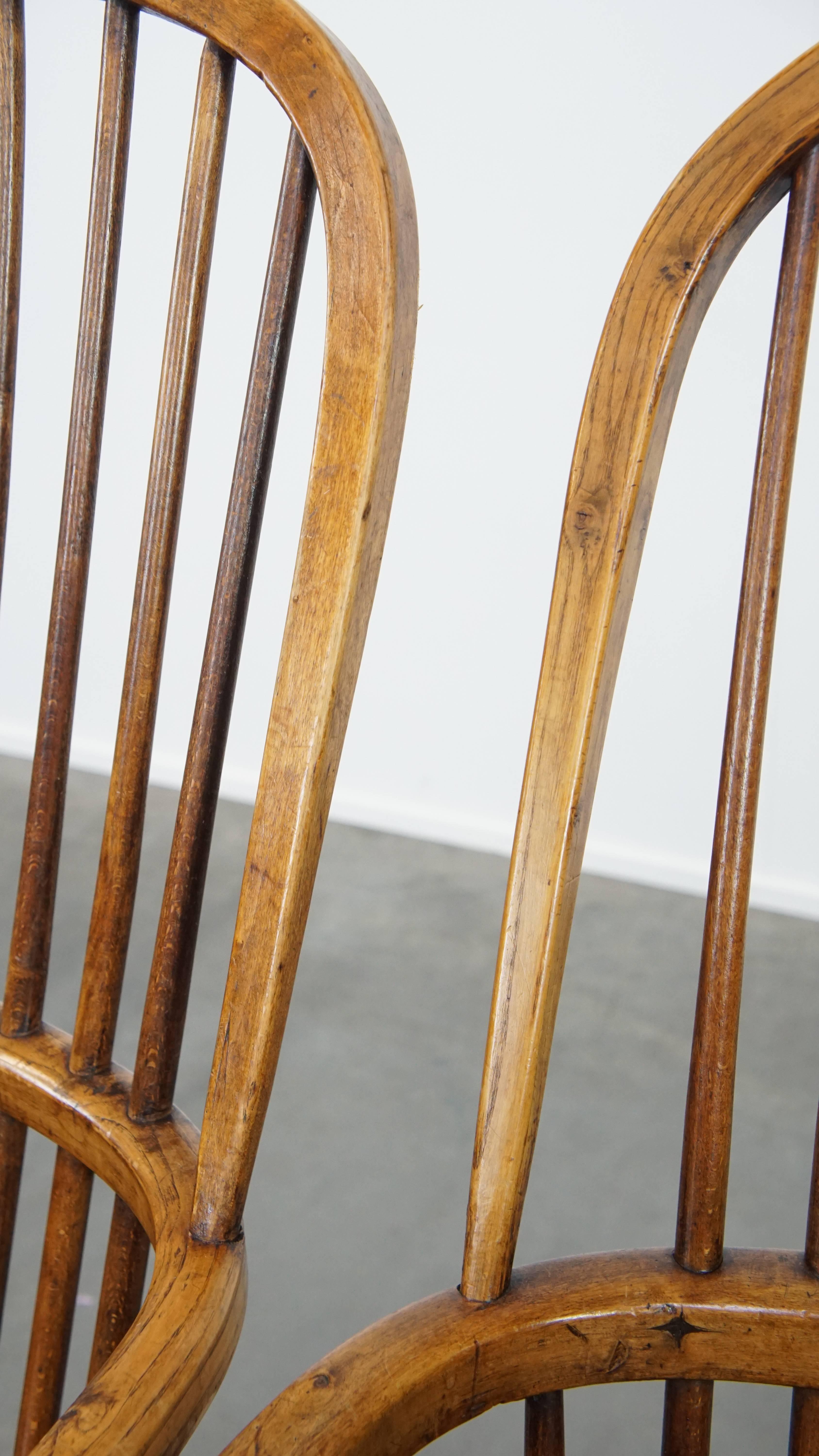 Set of 6 Antique English Windsor Chairs from the 19th Century Made of Elm For Sale 5