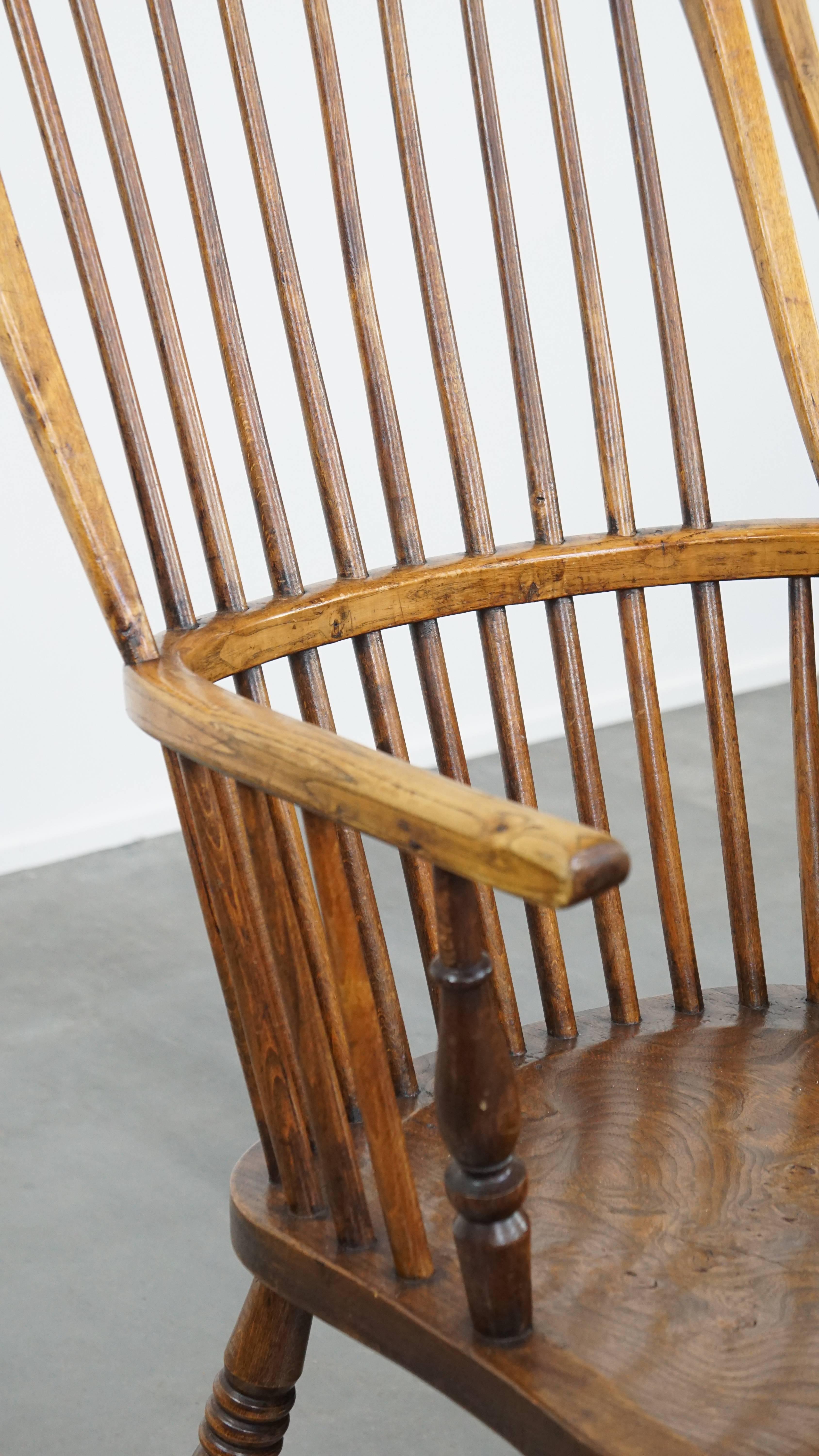 Set of 6 Antique English Windsor Chairs from the 19th Century Made of Elm For Sale 8