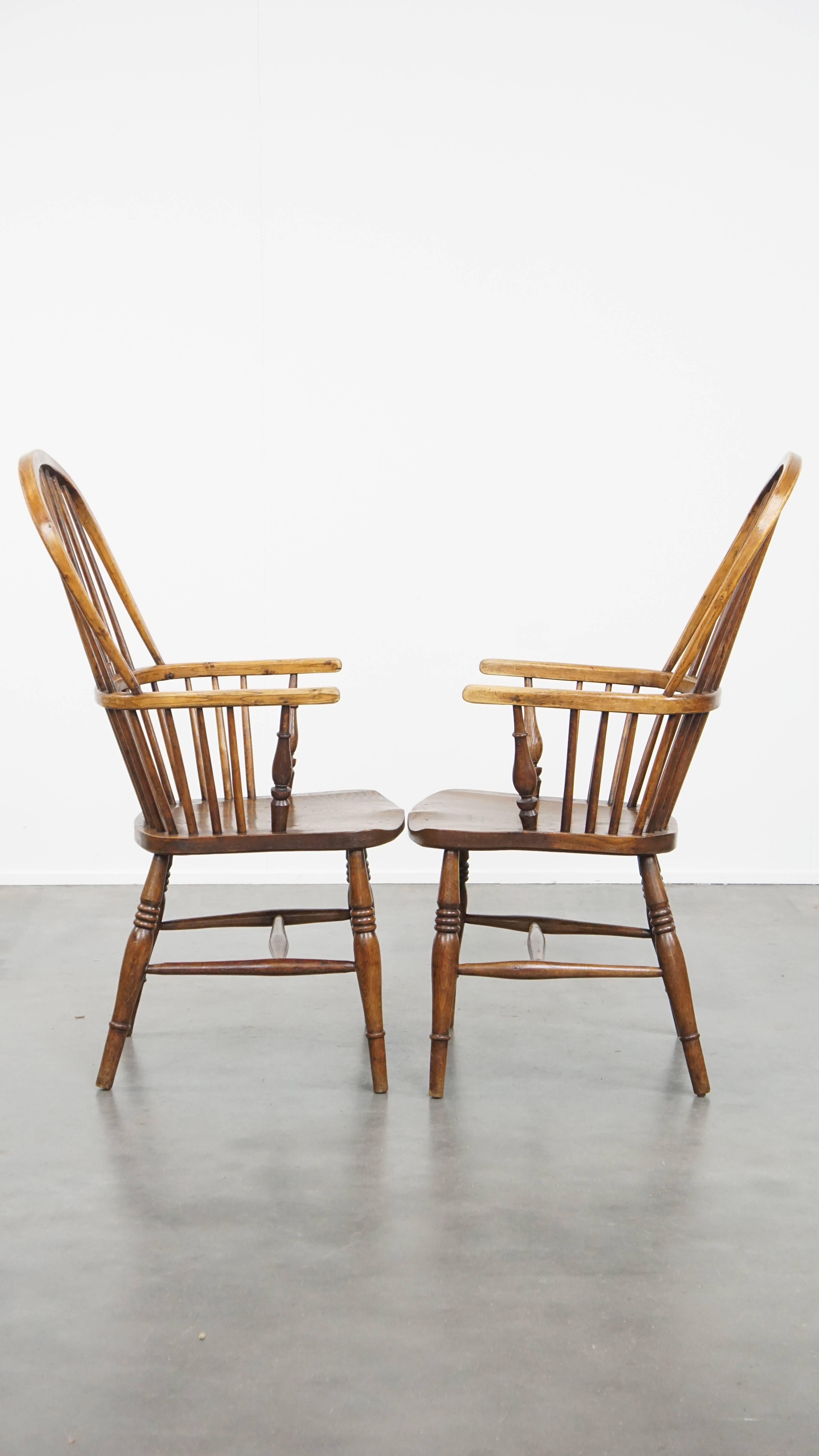 Classical Roman Set of 6 Antique English Windsor Chairs from the 19th Century Made of Elm For Sale