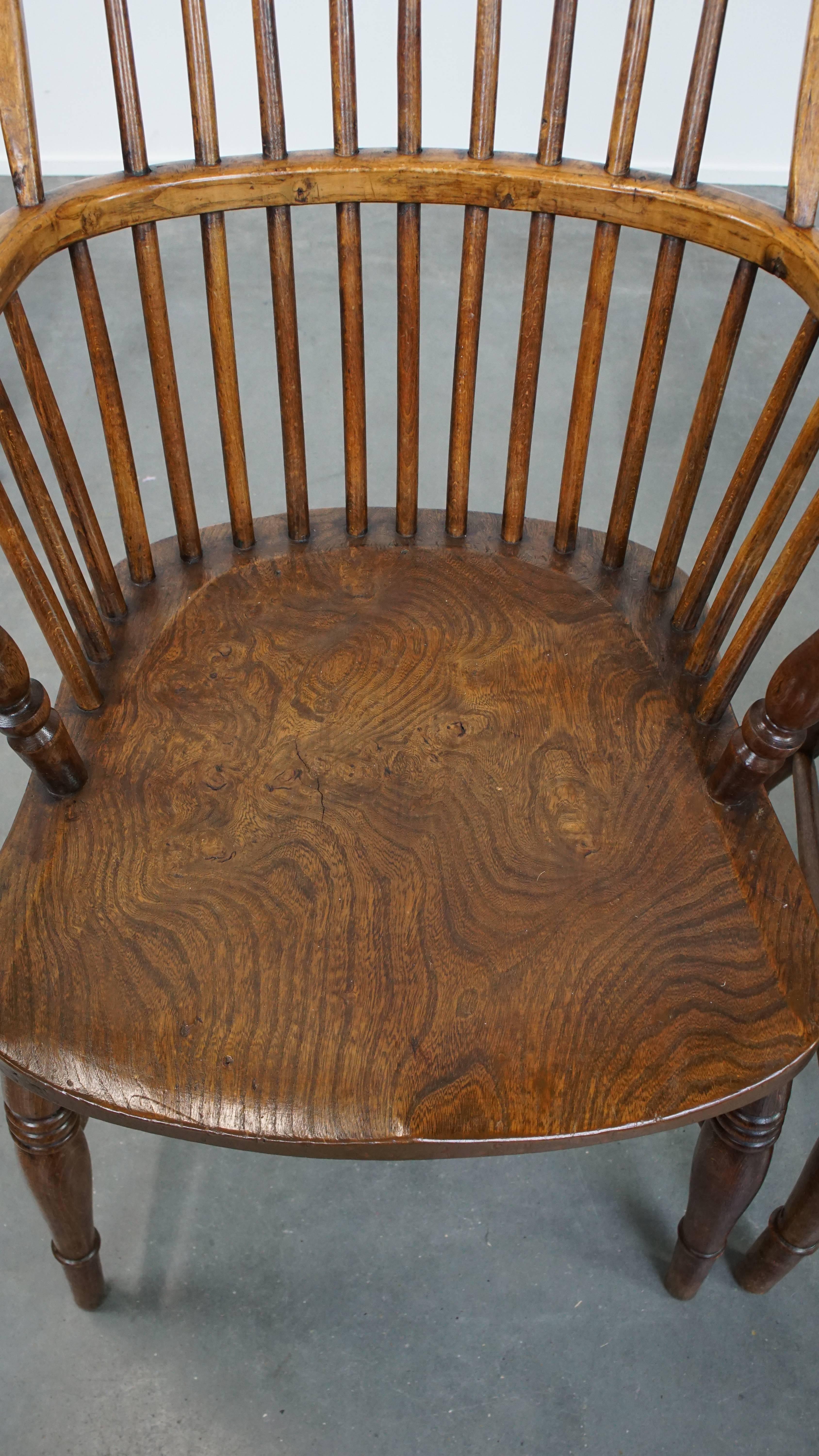 Wood Set of 6 Antique English Windsor Chairs from the 19th Century Made of Elm For Sale