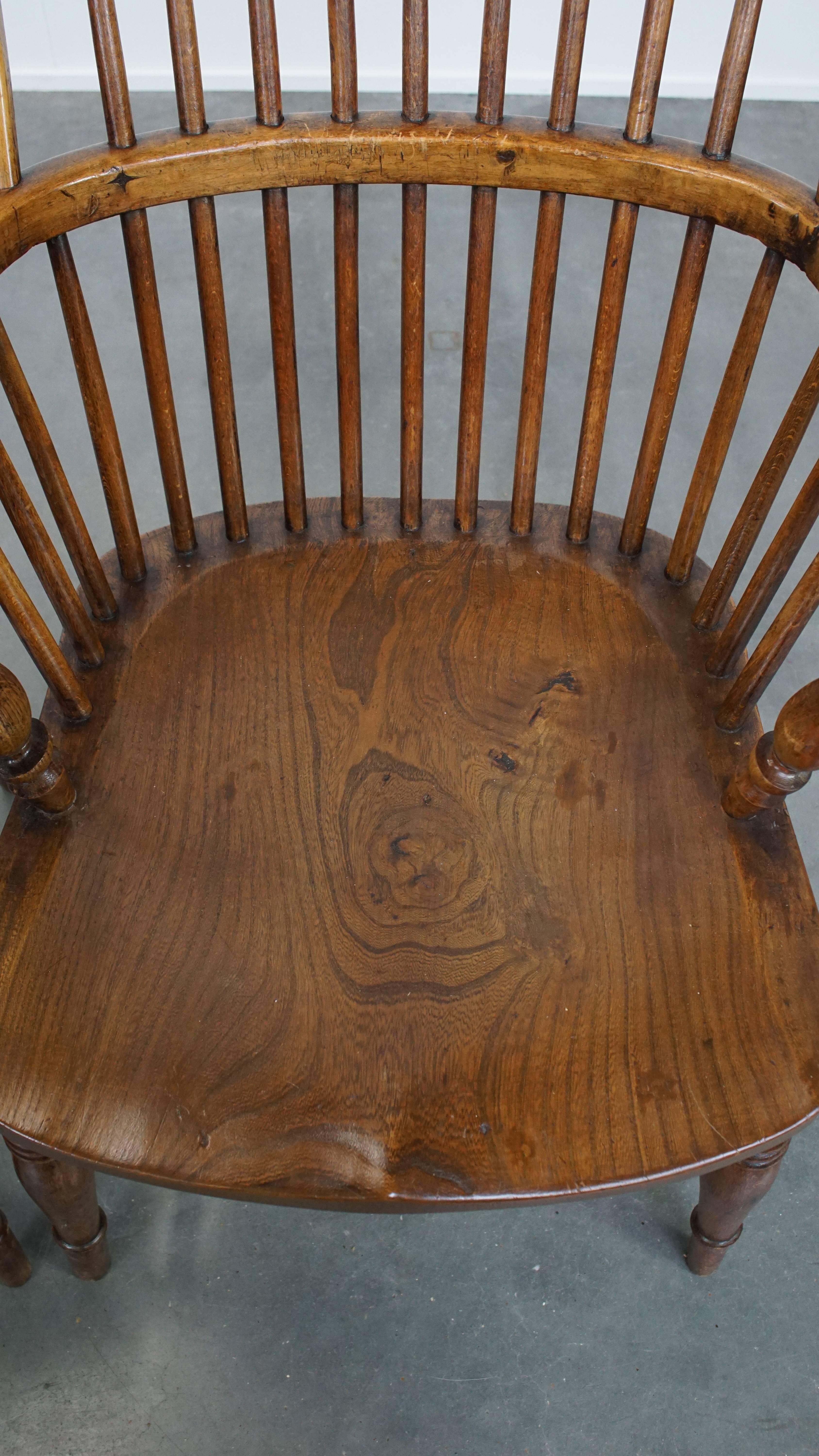 Set of 6 Antique English Windsor Chairs from the 19th Century Made of Elm For Sale 1