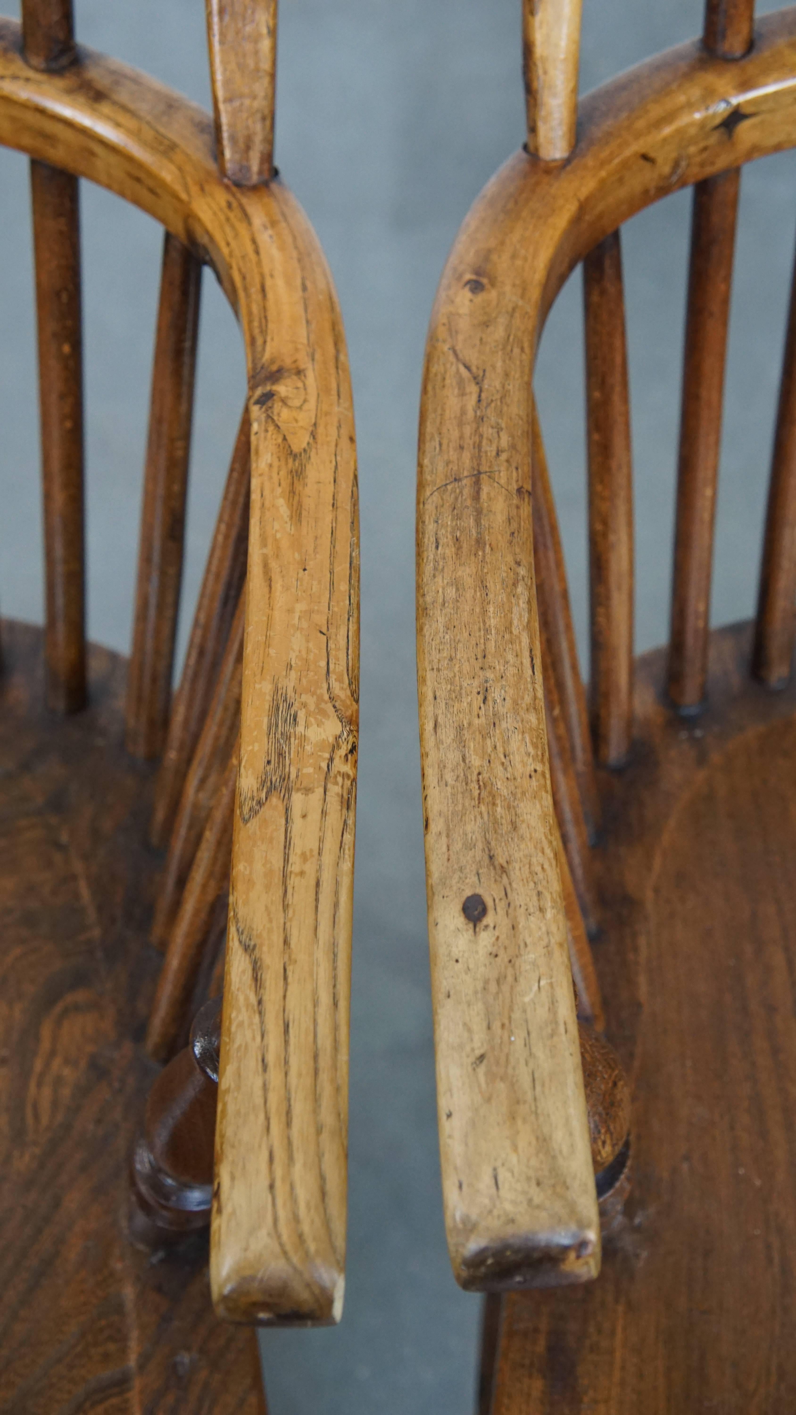 Set of 6 Antique English Windsor Chairs from the 19th Century Made of Elm For Sale 3