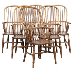 Set of 6 Antique English Windsor Chairs from the 19th Century Made of Elm