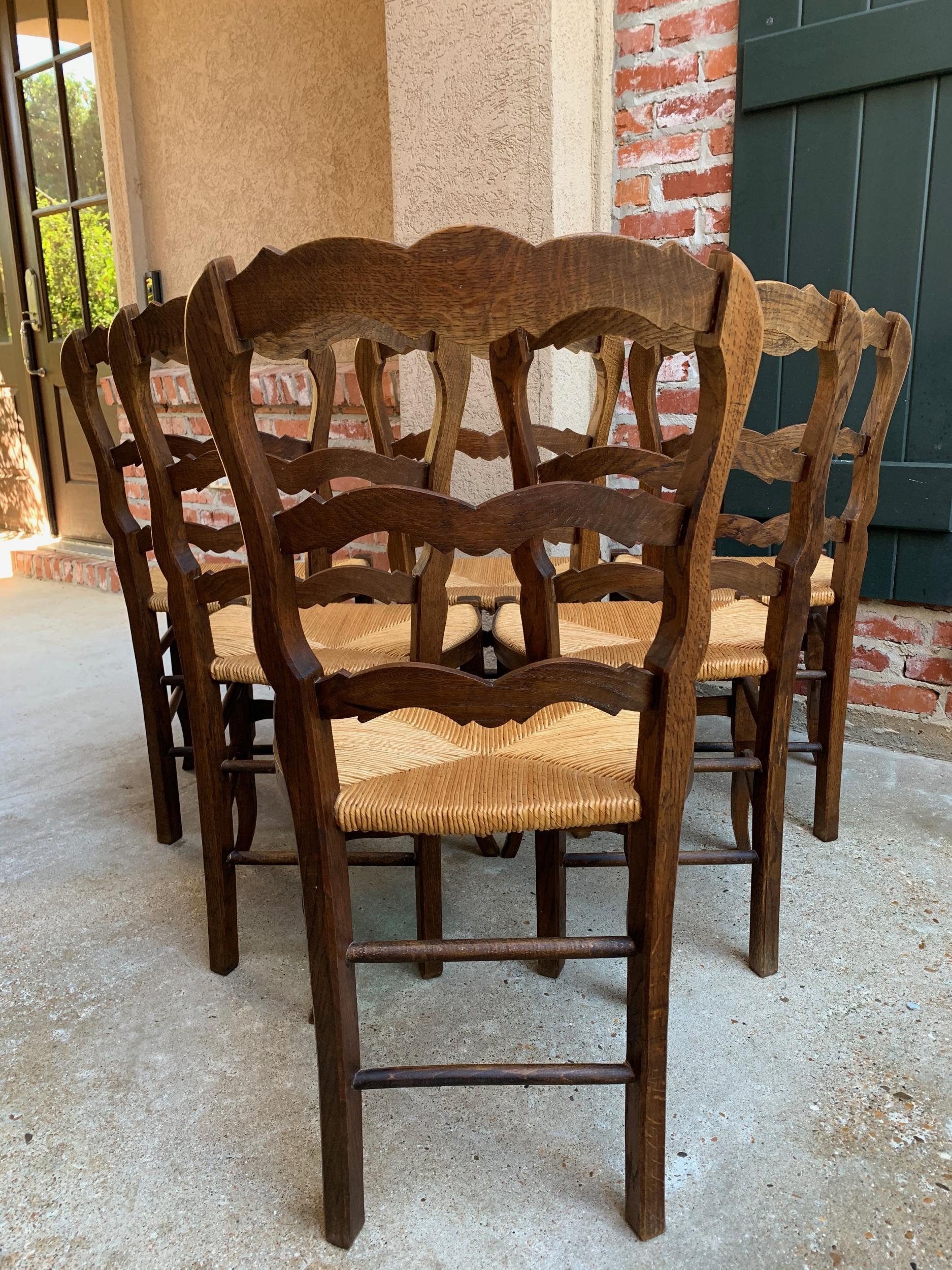 Set of 6 Antique French Carved Dark Oak Ladder Back Dining Chair Rush Seat 5