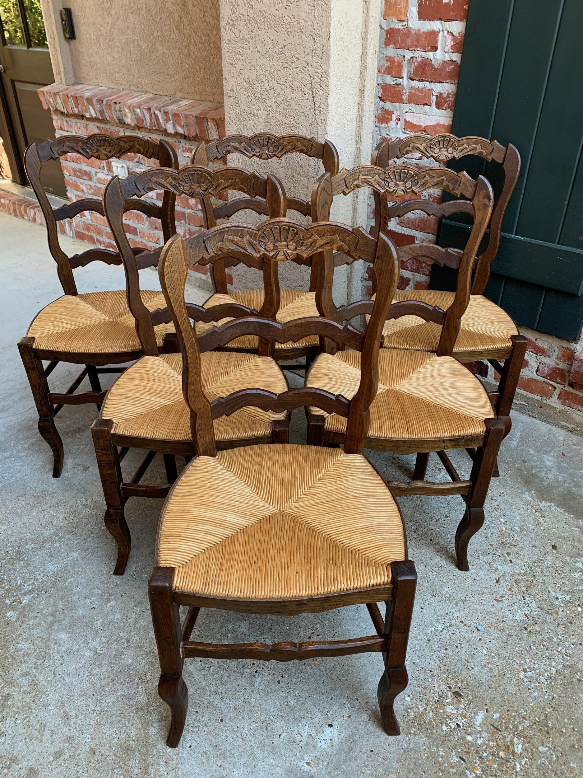 Set of 6 Antique French Carved Dark Oak Ladder Back Dining Chair Rush Seat 8