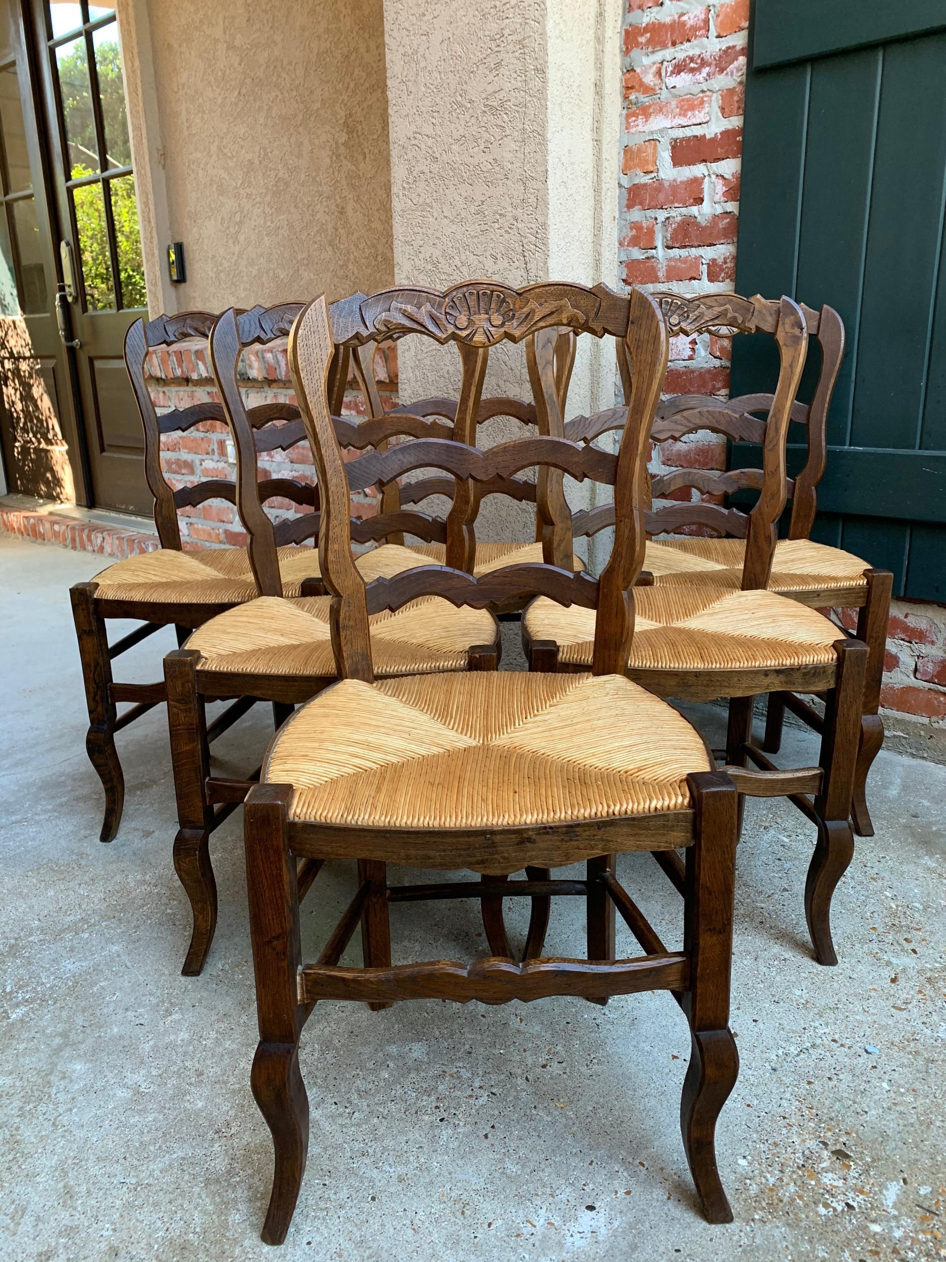 Set of 6 Antique French Carved Dark Oak Ladder Back Dining Chair Rush Seat 9