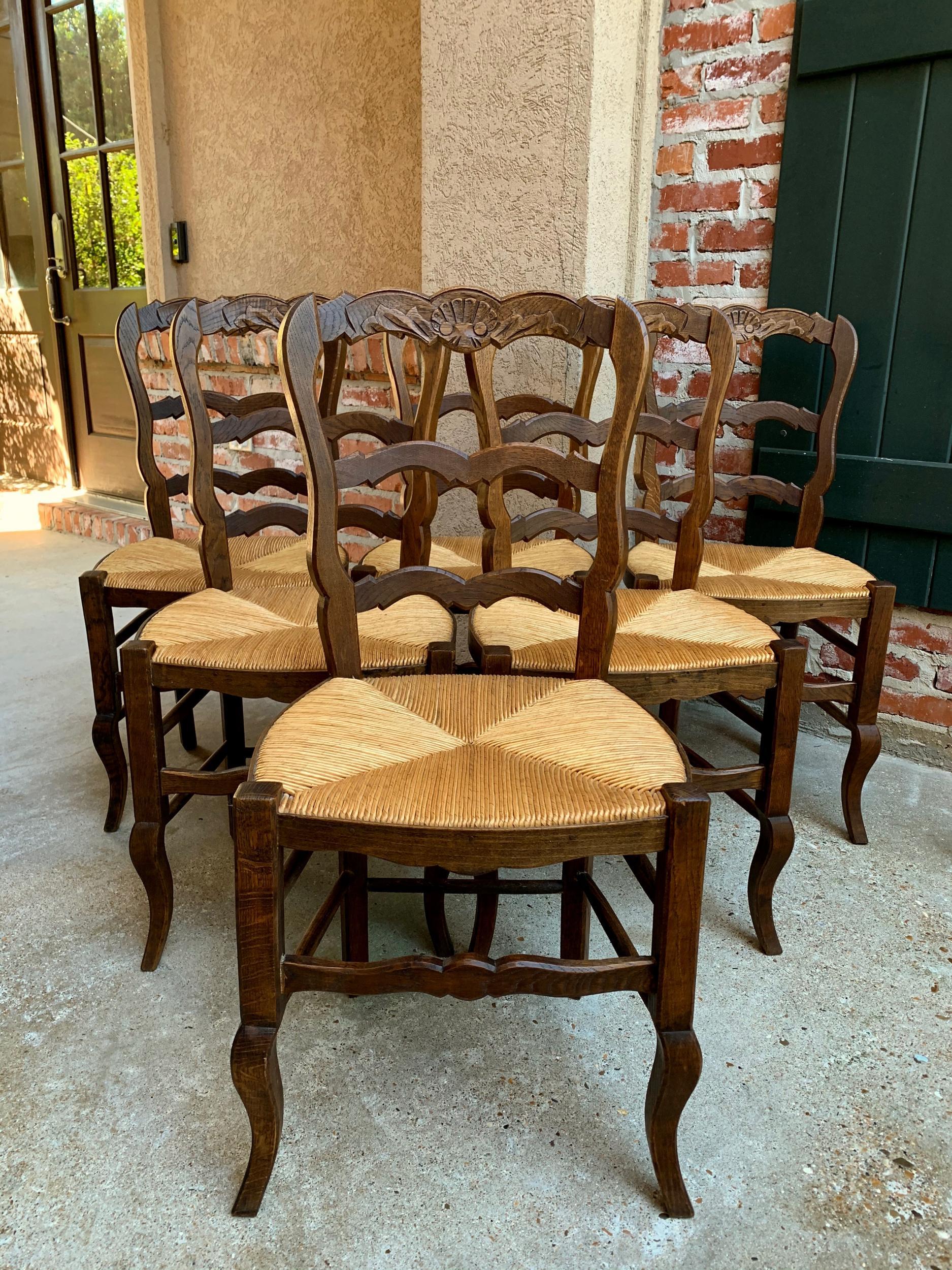 Set of 6 Antique French Carved Dark Oak Ladder Back Dining Chair Rush Seat 10