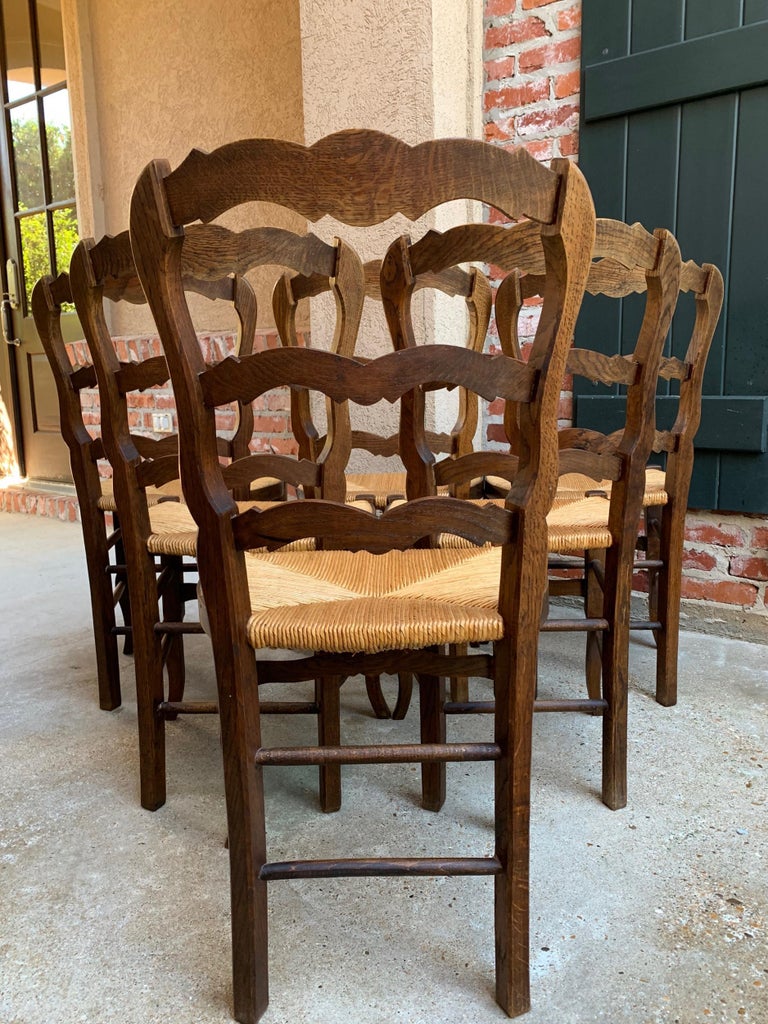 Set of 6 Antique French Carved Dark Oak Ladder Back Dining Chair Rush