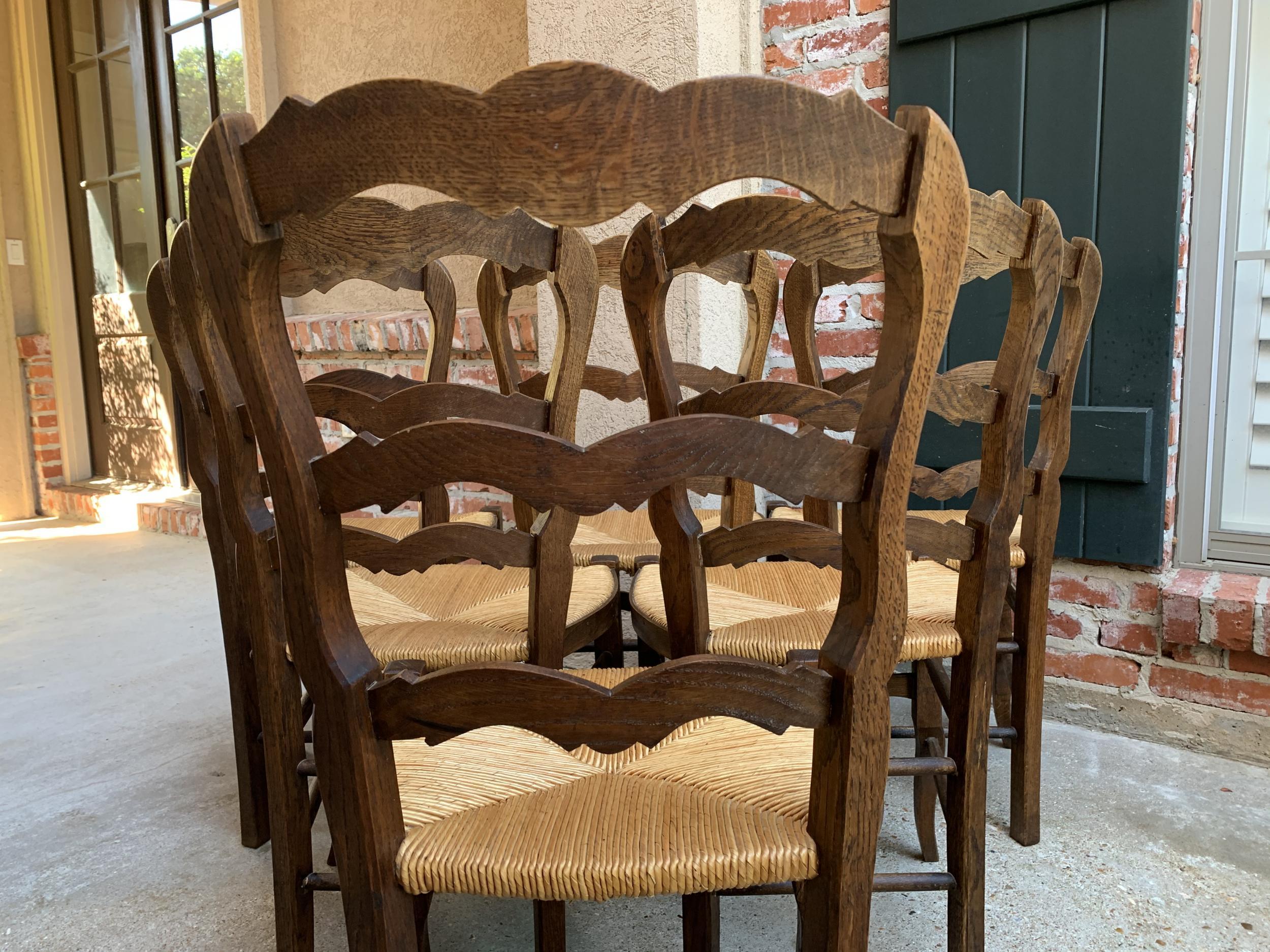 Set of 6 Antique French Carved Dark Oak Ladder Back Dining Chair Rush Seat 13