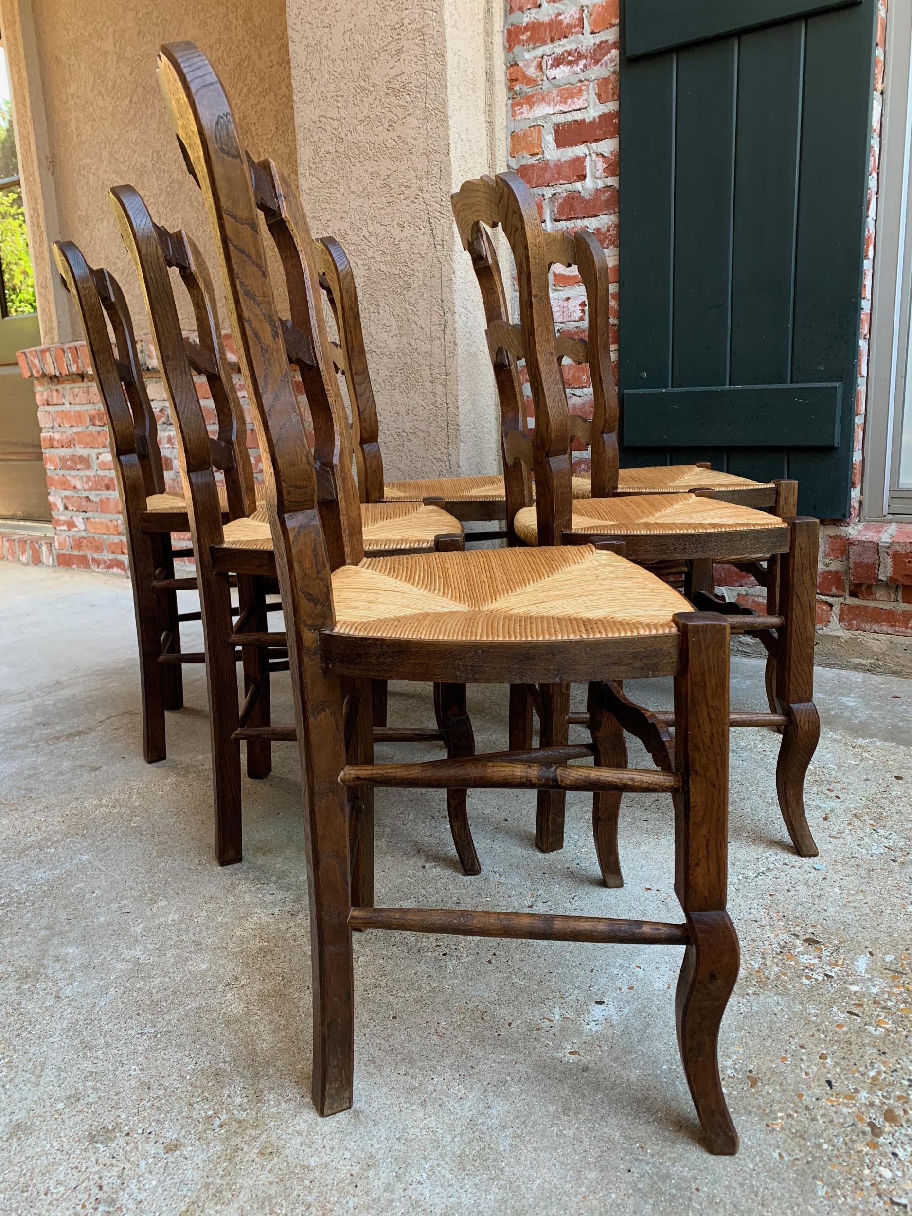Set of 6 Antique French Carved Dark Oak Ladder Back Dining Chair Rush Seat 1