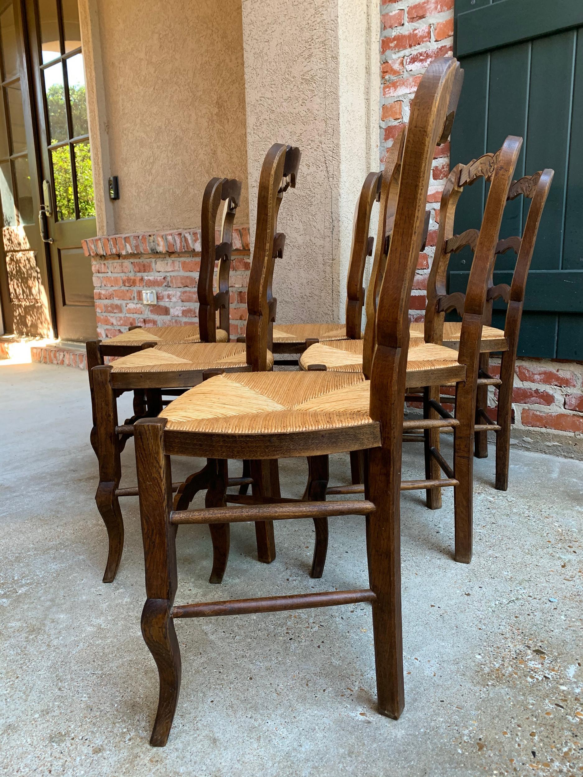 Set of 6 Antique French Carved Dark Oak Ladder Back Dining Chair Rush Seat 2