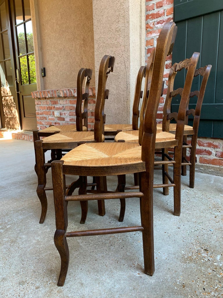 Set of 6 Antique French Carved Dark Oak Ladder Back Dining Chair Rush