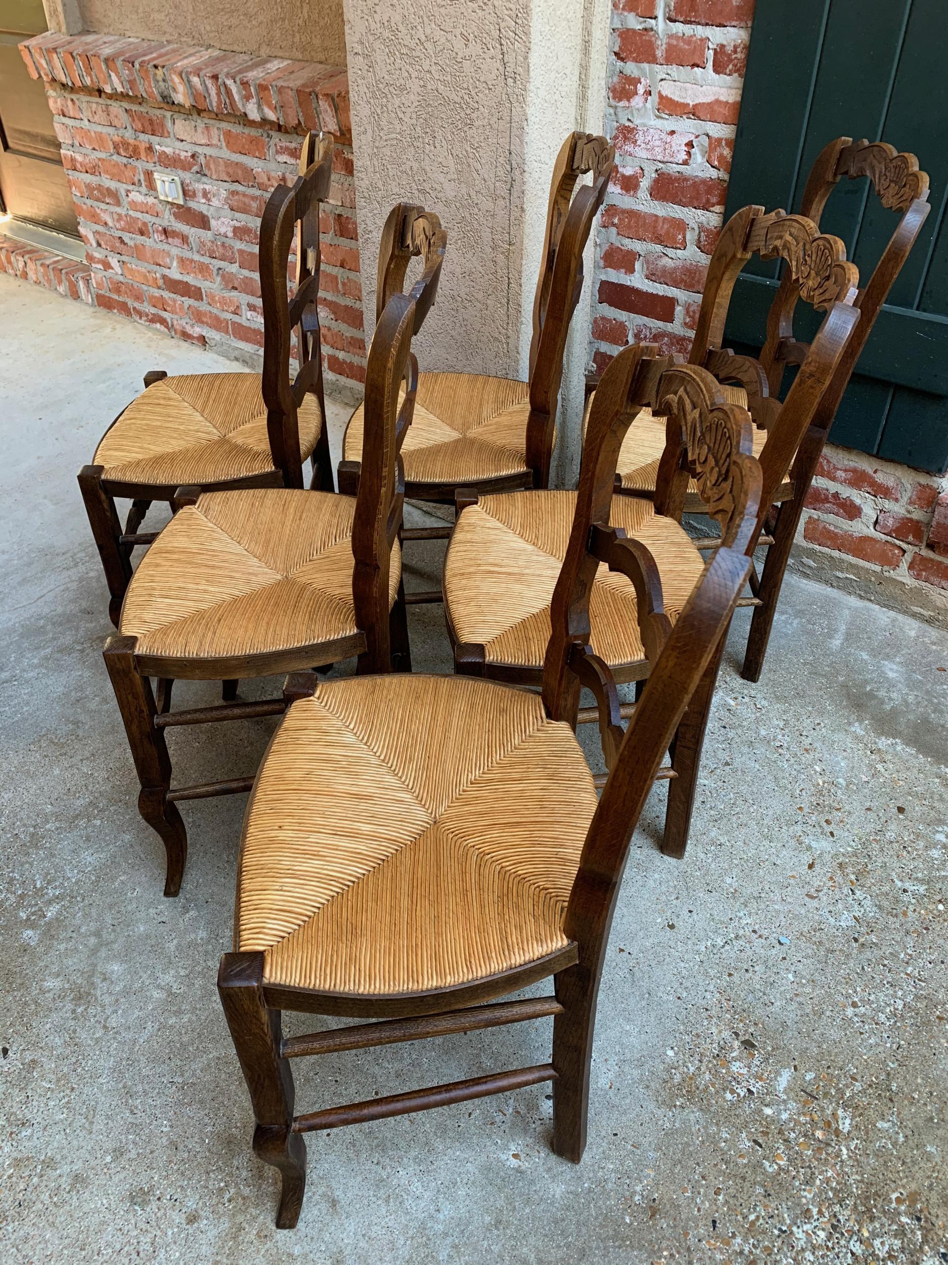 Set of 6 Antique French Carved Dark Oak Ladder Back Dining Chair Rush Seat 3
