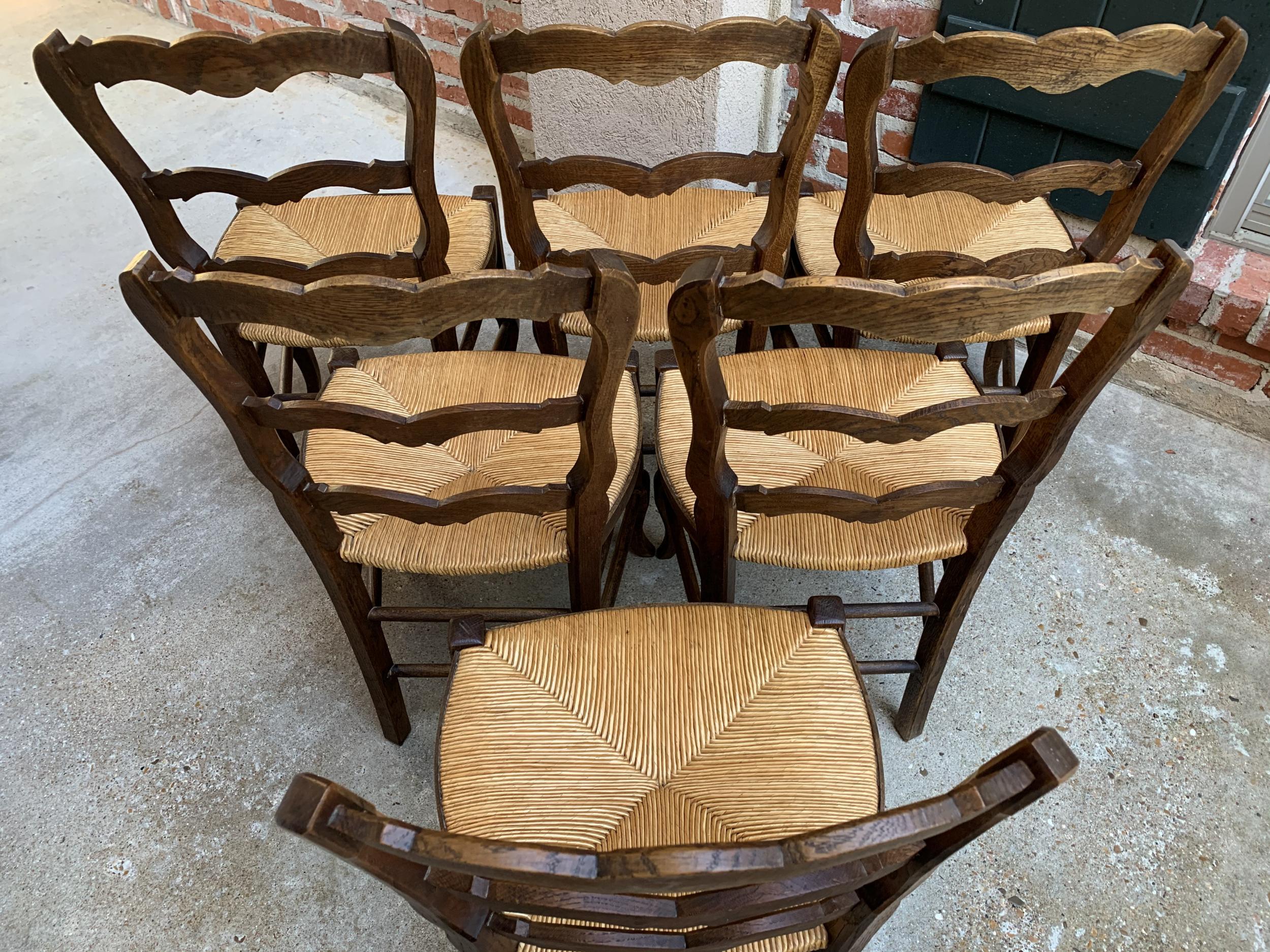 Set of 6 Antique French Carved Dark Oak Ladder Back Dining Chair Rush Seat 4