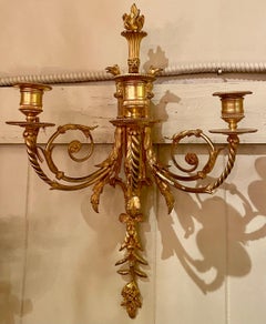 Juego de 6 apliques antiguos franceses Luis XVI de bronce D'Oré de 3 luces, circa 1890.