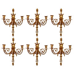 Juego de 6 apliques antiguos franceses Luis XVI de bronce D'Oré de 3 luces, circa 1890.