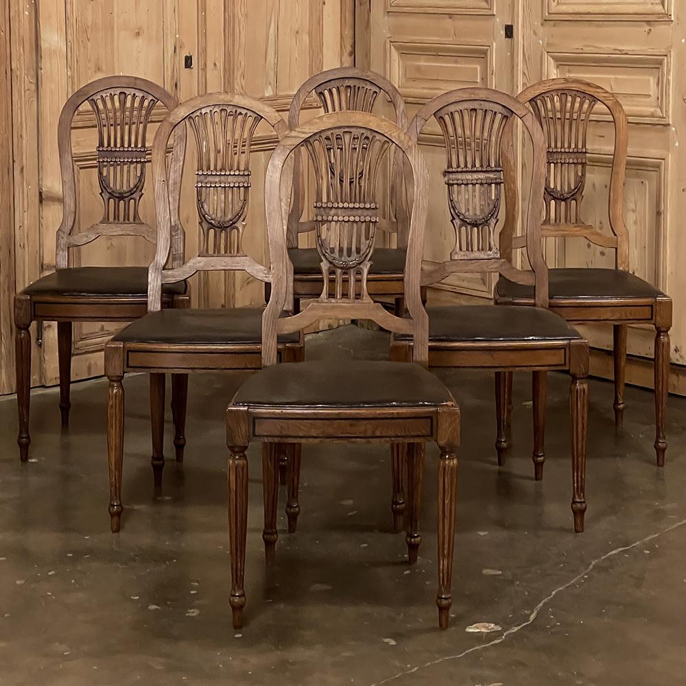 Set of 6 antique French Louis XVI dining chairs reflect a tailored, stately elegance yet retain a certain casual effect thanks to the design itself, and use of quarter-sawn oak for the frames. The rounded seat backs feature a stylized lyre motif on