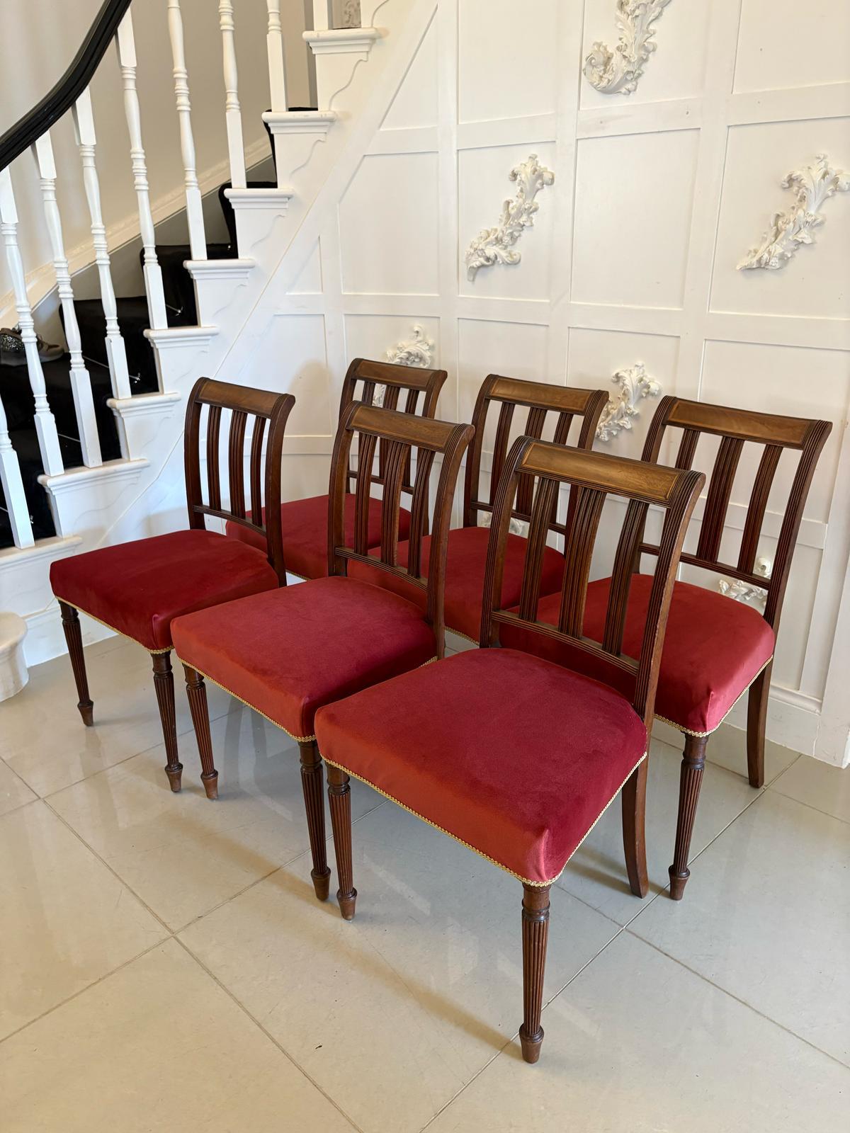 Set of 6 antique George III quality mahogany inlaid dining chairs consisting of 6 single chairs having a  shaped top rail with satinwood inlay, 3 reeded splats to the back, newly reupholstered seats in a quality velvet fabric standing on elegant
