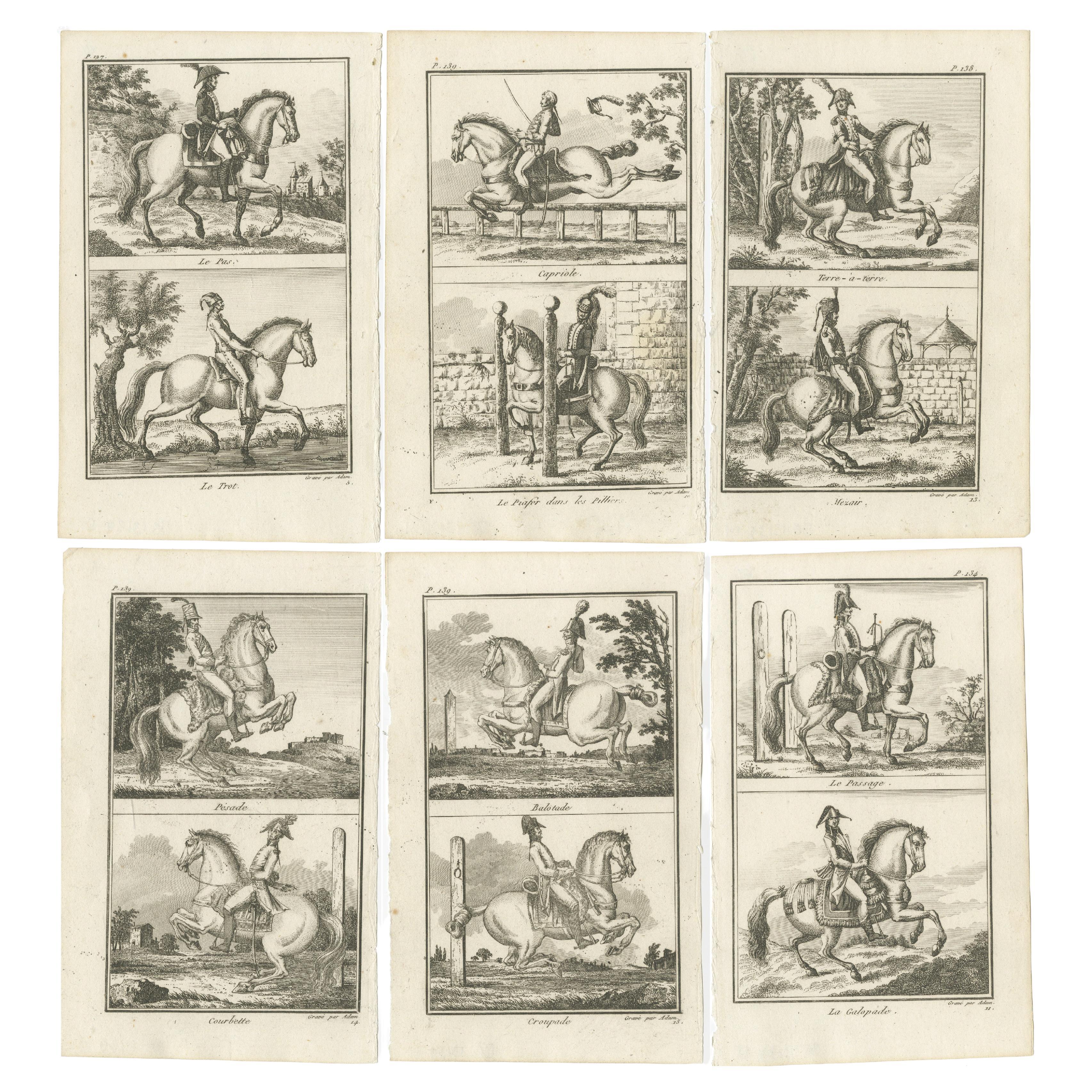 Set of 6 Antique Horse Riding Prints, Capriole, Croupade, Le Trot, Courbette For Sale