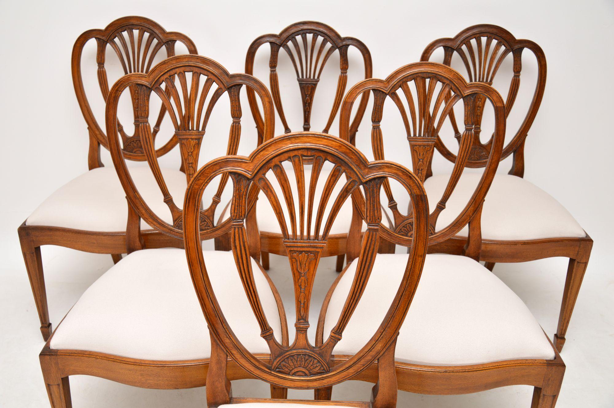 Set of 6 Antique Mahogany Sheraton Style Dining Chairs 1