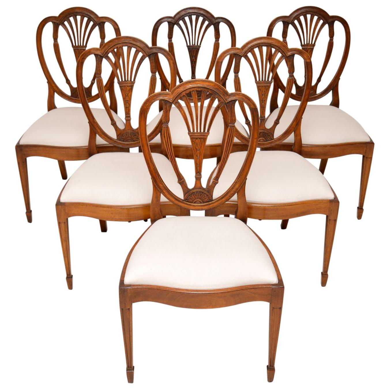 Set of 6 Antique Mahogany Sheraton Style Dining Chairs