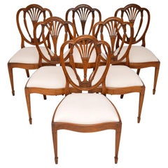Set of 6 Antique Mahogany Sheraton Style Dining Chairs