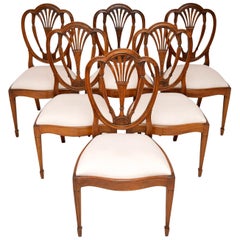 Set of 6 Antique Mahogany Sheraton Style Dining Chairs