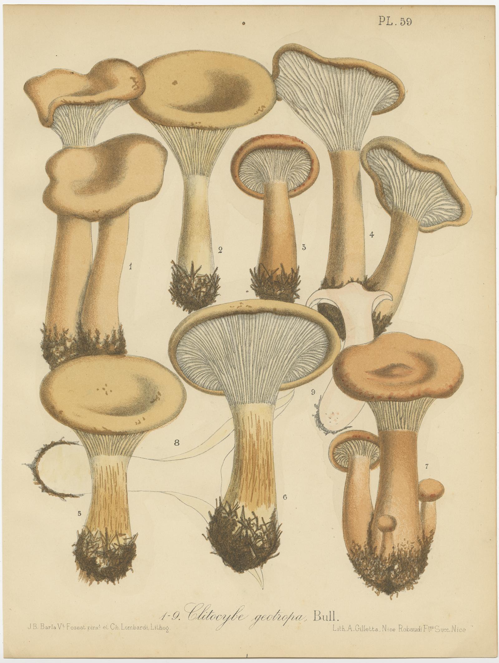 Set of 6 Antique Mycology Prints of Various Fungi by Barla 'circa 1890' In Good Condition For Sale In Langweer, NL