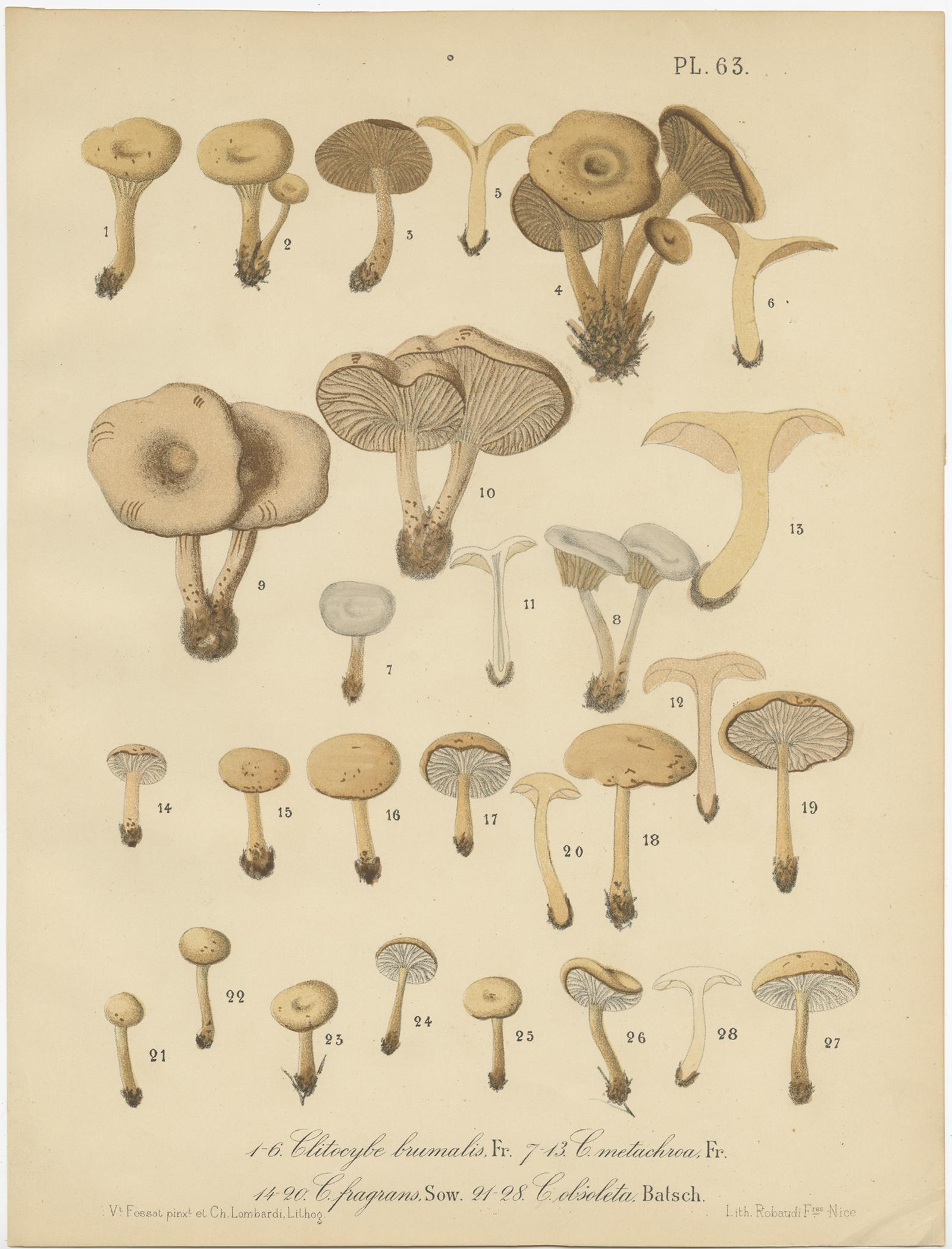 19th Century Set of 6 Antique Mycology Prints of Various Fungi by Barla 'circa 1890' For Sale