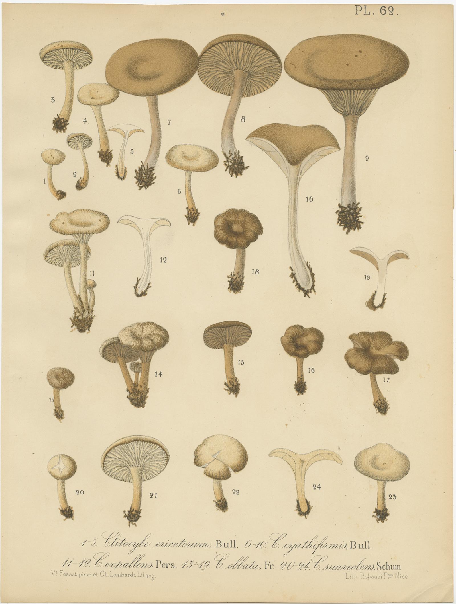 Paper Set of 6 Antique Mycology Prints of Various Fungi by Barla 'circa 1890' For Sale