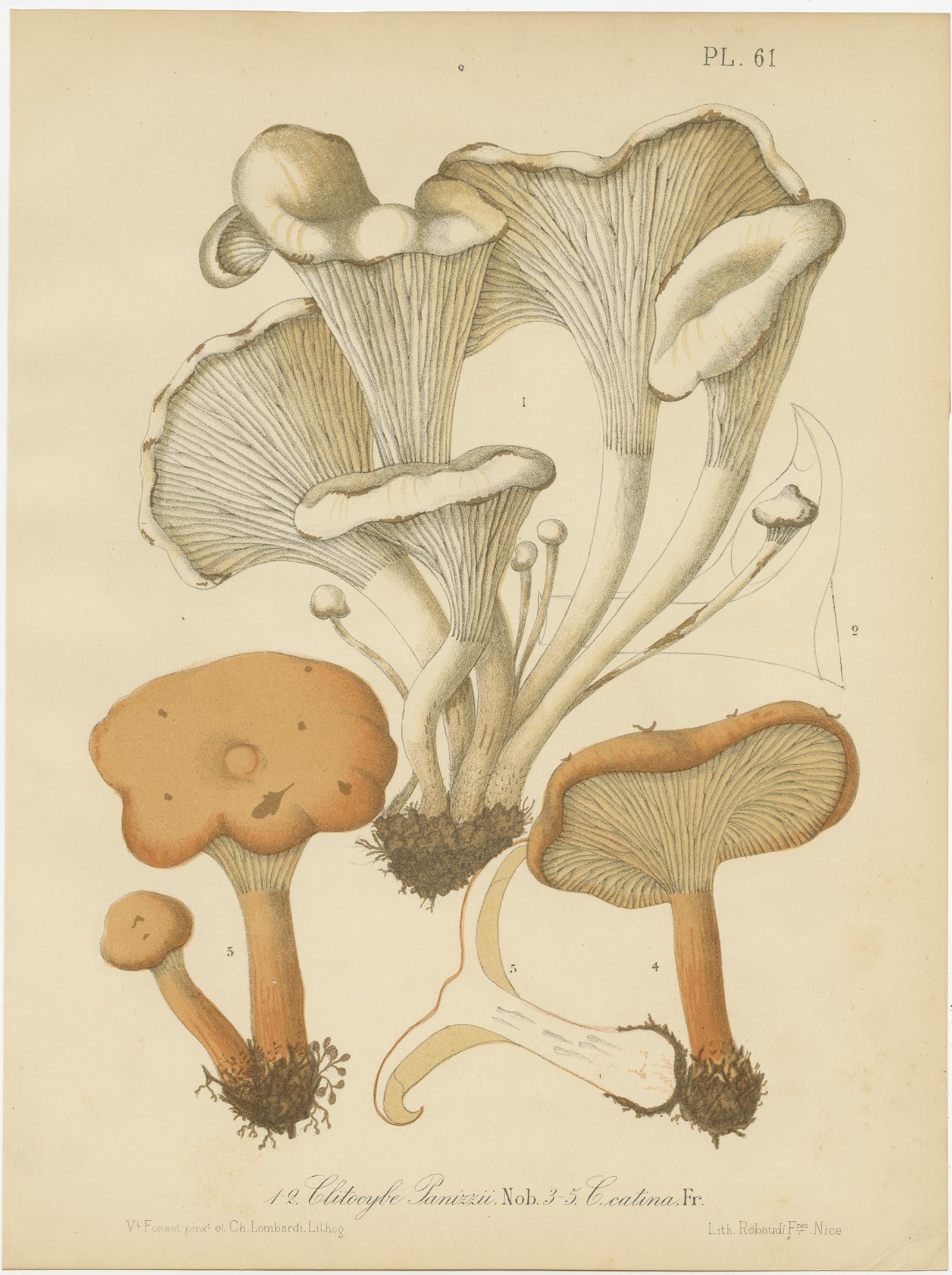 Set of 6 Antique Mycology Prints of Various Fungi by Barla 'circa 1890' For Sale 1