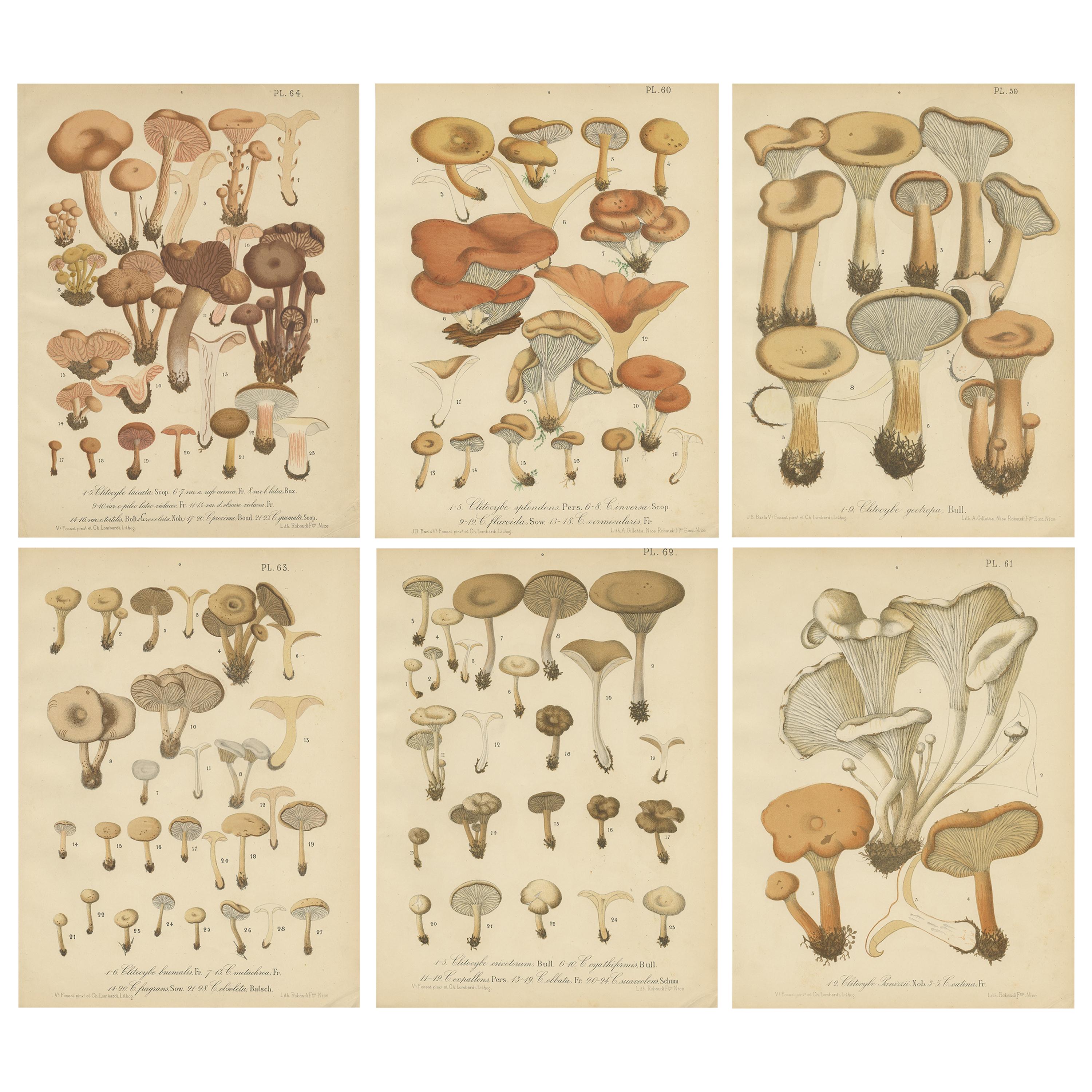 Ensemble de 6 tirages de mycologie ancienne de divers Fungi par Barla, datant d'environ 1890