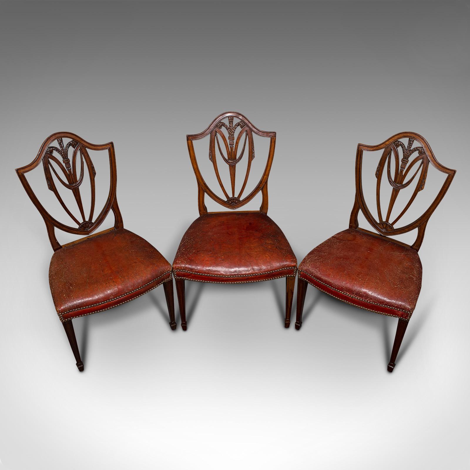 Set of 6, Antique Shield Back Chairs, Dining Seat, After Hepplewhite, Georgian 2