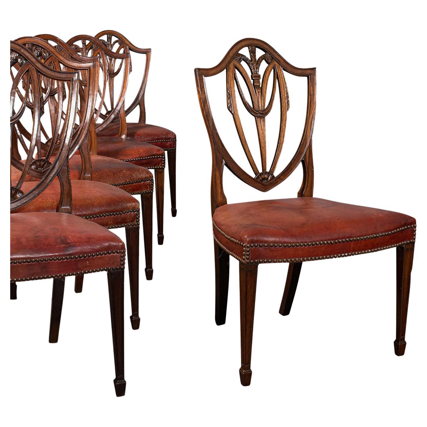 Set of 6, Antique Shield Back Chairs, Dining Seat, After Hepplewhite, Georgian