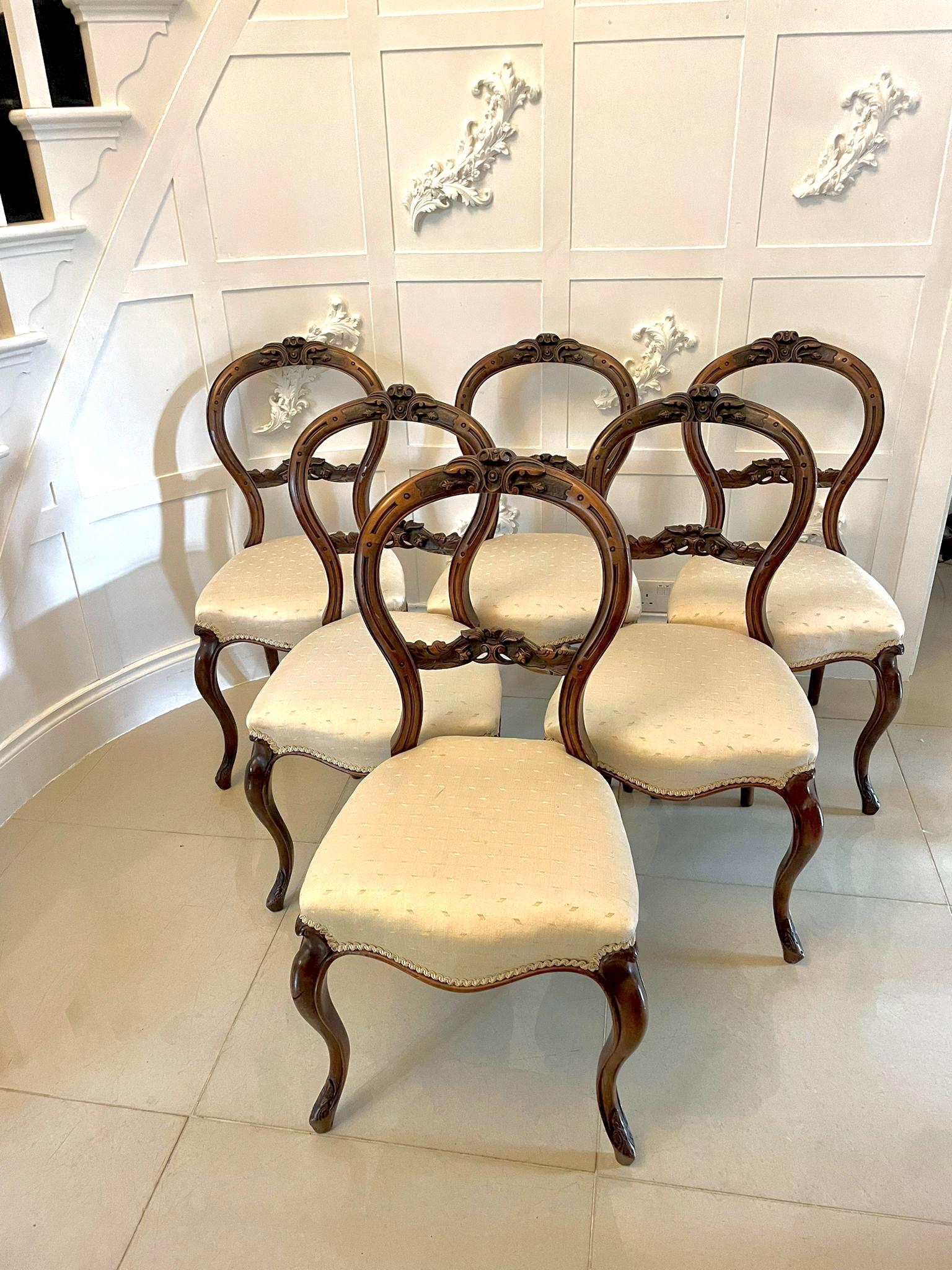 Ensemble de 6 chaises de salle à manger en noyer sculpté de style victorien ancien, avec dossier en noyer sculpté de qualité, sièges en forme de serpentin récemment rembourrés dans un tissu de qualité, reposant sur d'élégants pieds cabriole sculptés