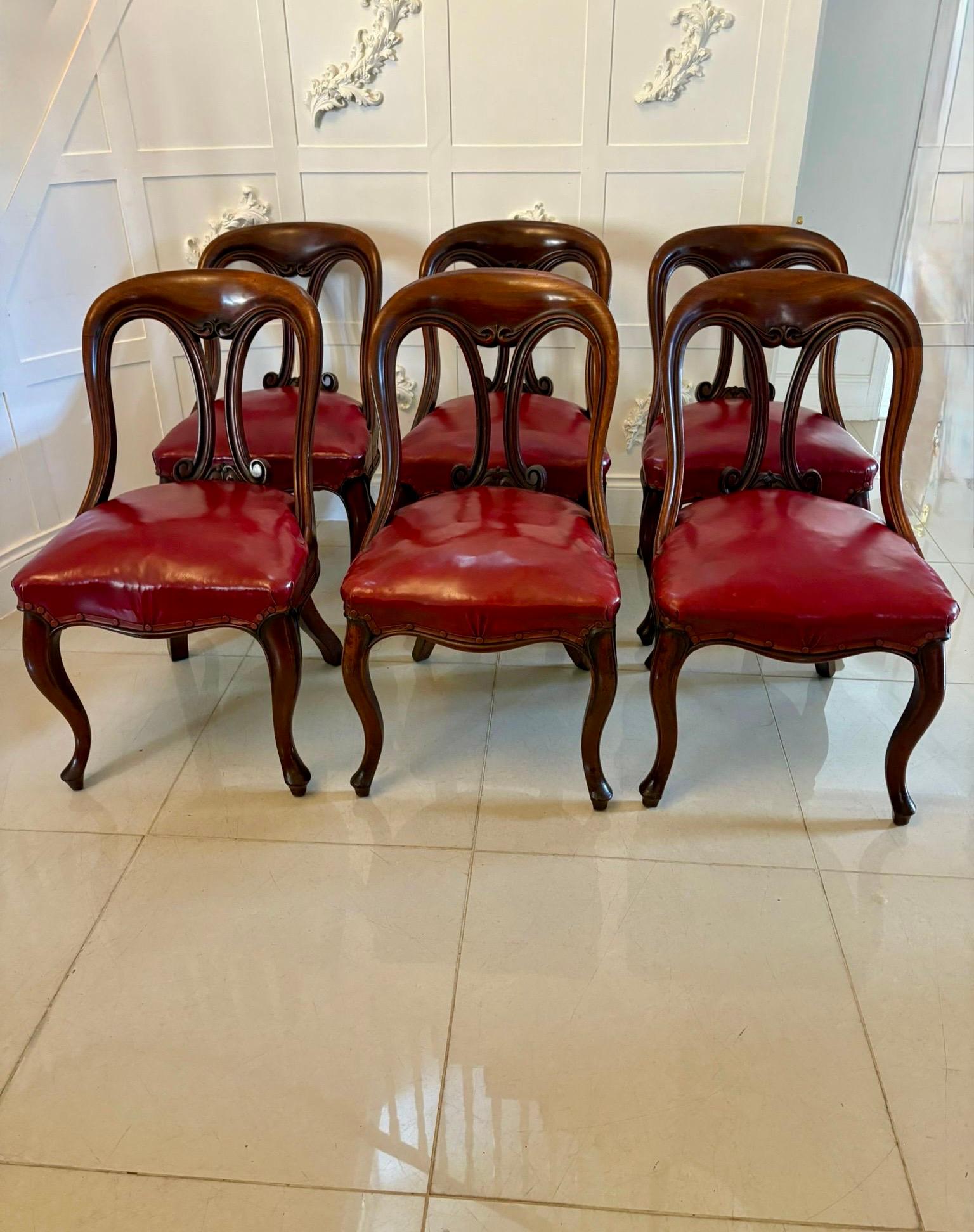 Ensemble de 6 chaises de bibliothèque ou de salle à manger en acajou sculpté, de style victorien ancien, d'une qualité exceptionnelle en vente 8