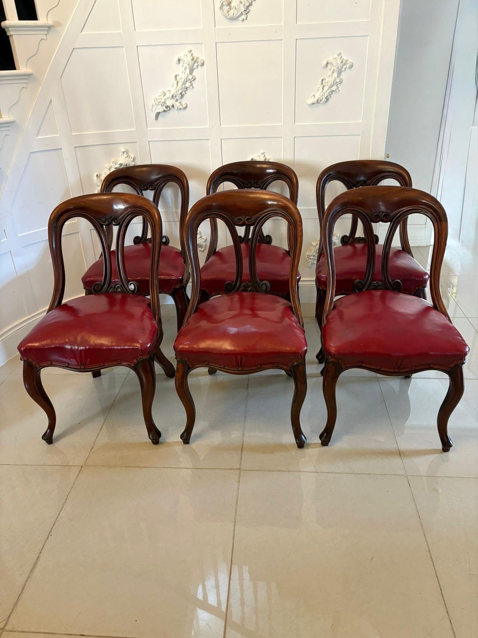 Ensemble de six chaises de bibliothèque/salle à manger en acajou sculpté, de style victorien ancien, avec un dossier en forme de volute en acajou sculpté, des sièges rembourrés en cuir rouge d'origine, reposant sur des pieds cabriole façonnés à
