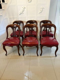 Set of 6 Antique Victorian Superb Quality Carved Mahogany Library/Dining Chairs