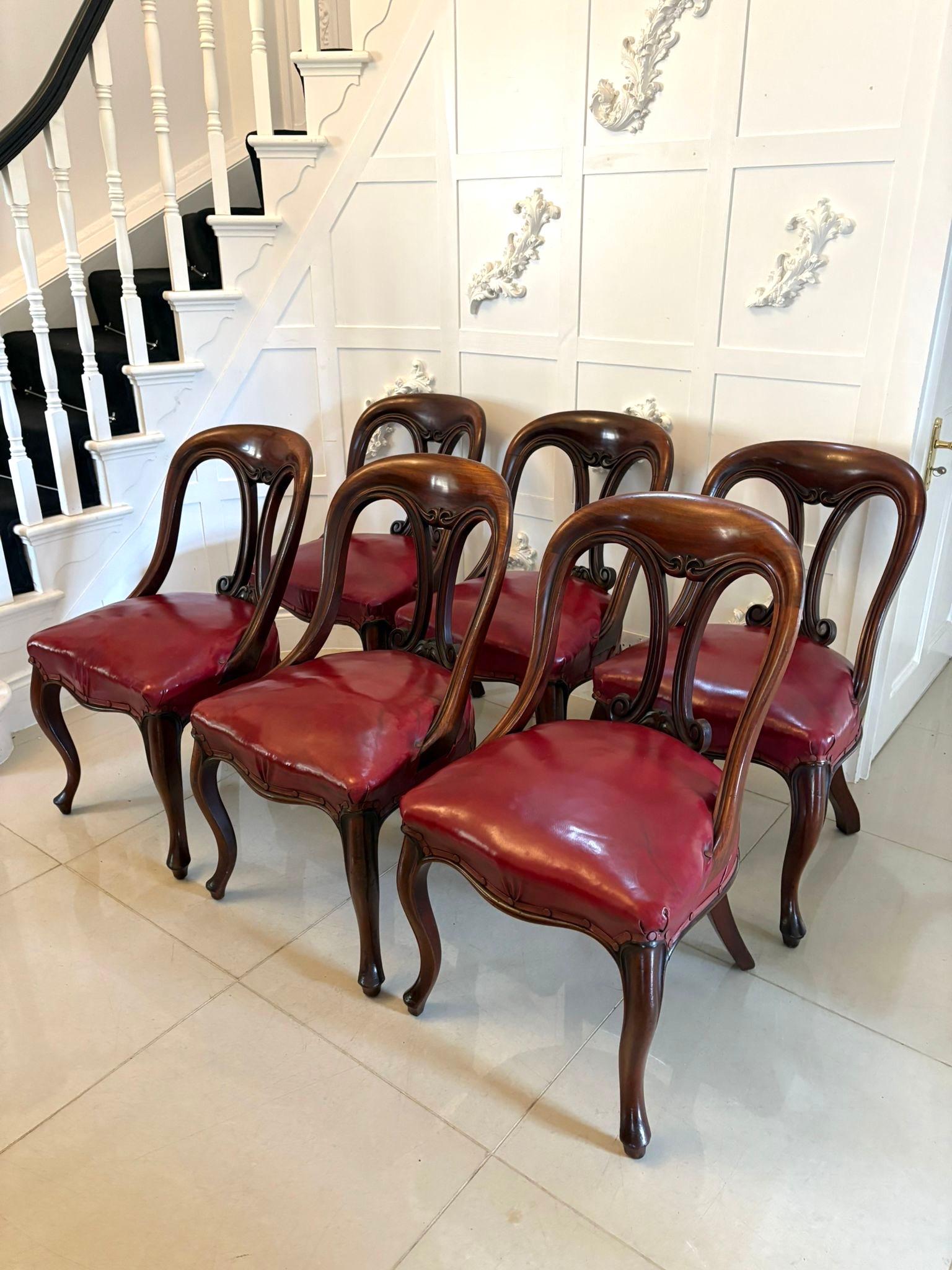 Victorien Ensemble de 6 chaises de bibliothèque ou de salle à manger en acajou sculpté, de style victorien ancien, d'une qualité exceptionnelle en vente