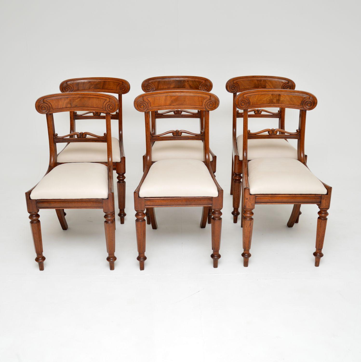 Set of 6 Antique William IV Dining Chairs 4
