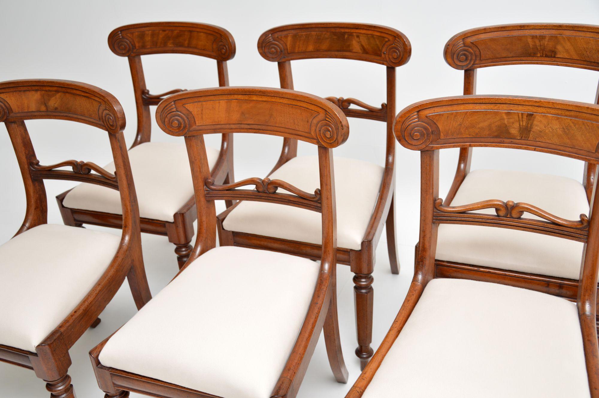 Set of 6 Antique William IV Dining Chairs 3
