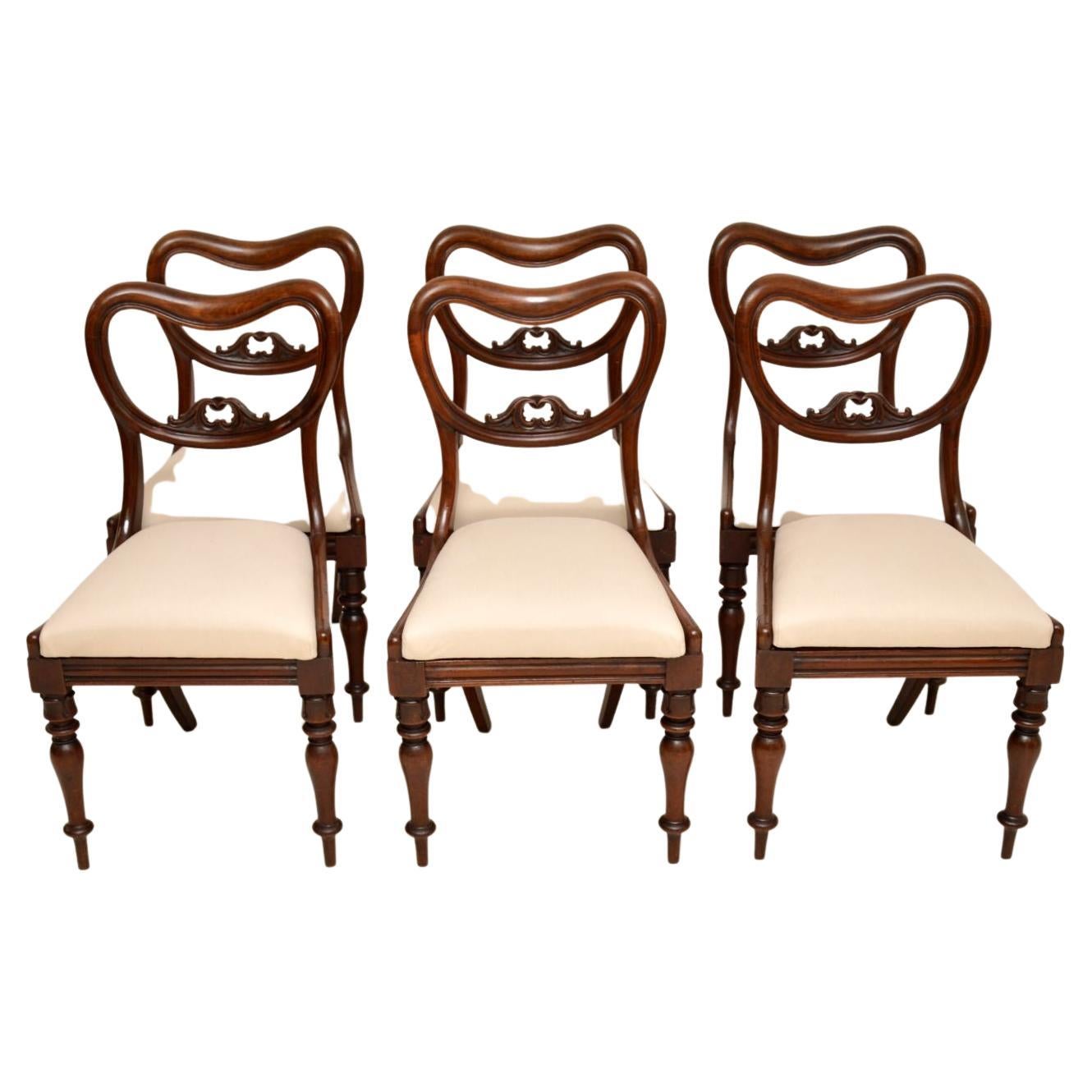 Ensemble de 6 chaises de salle à manger anciennes William IV en vente